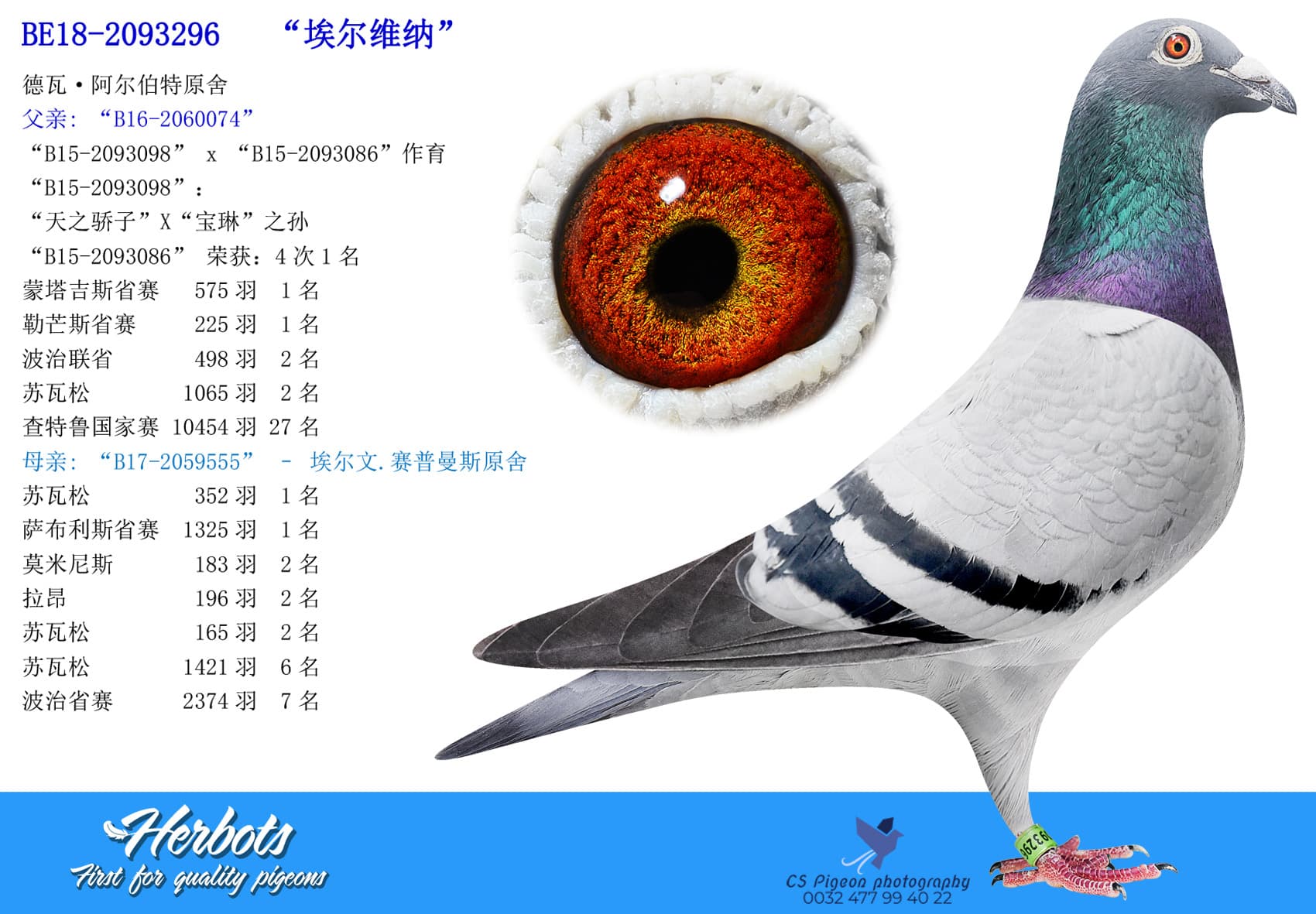 pigeon: undefined