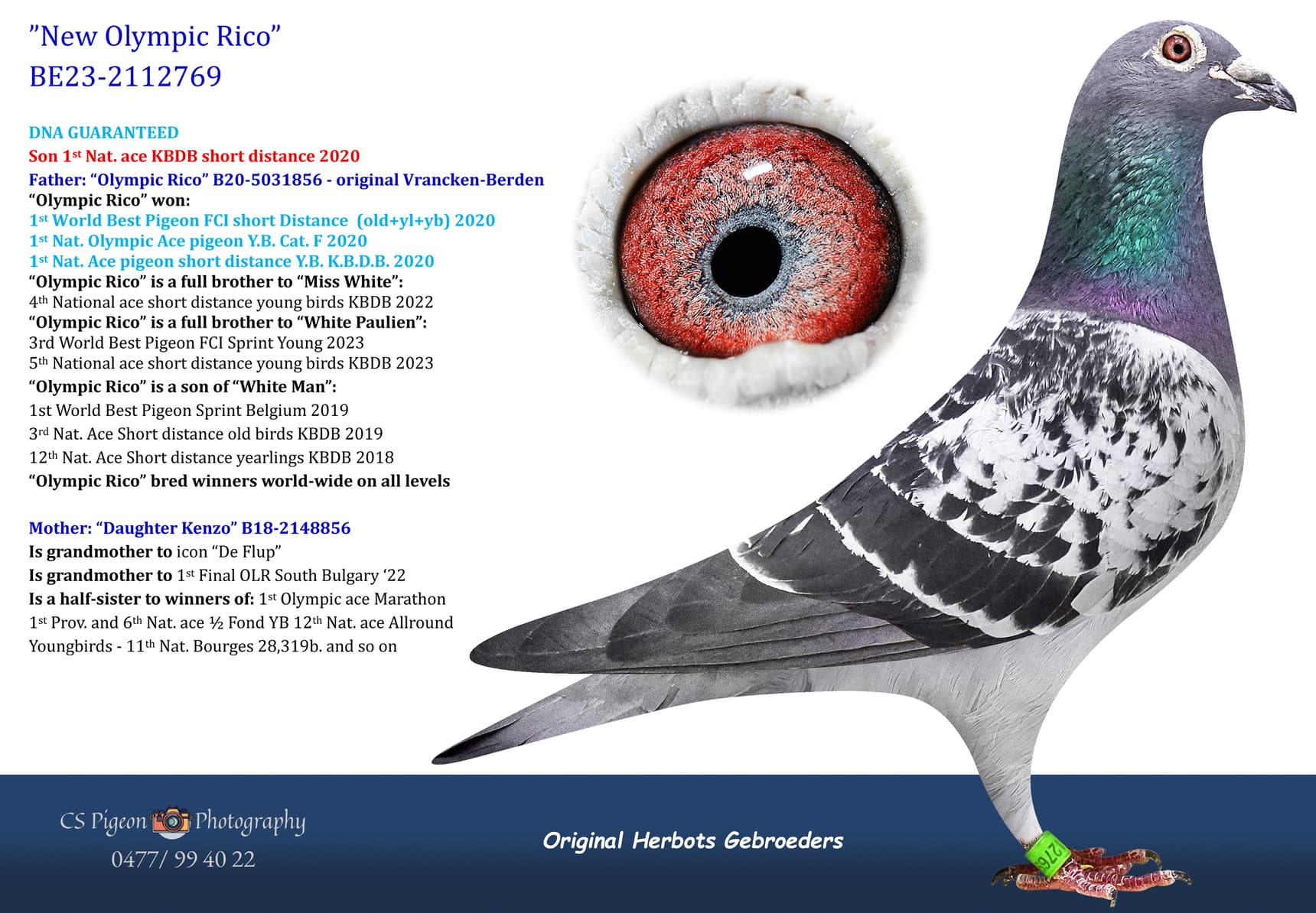 pigeon: undefined