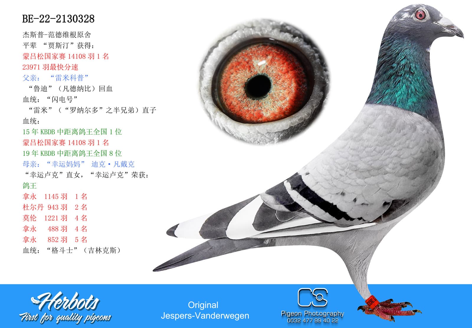 pigeon: undefined