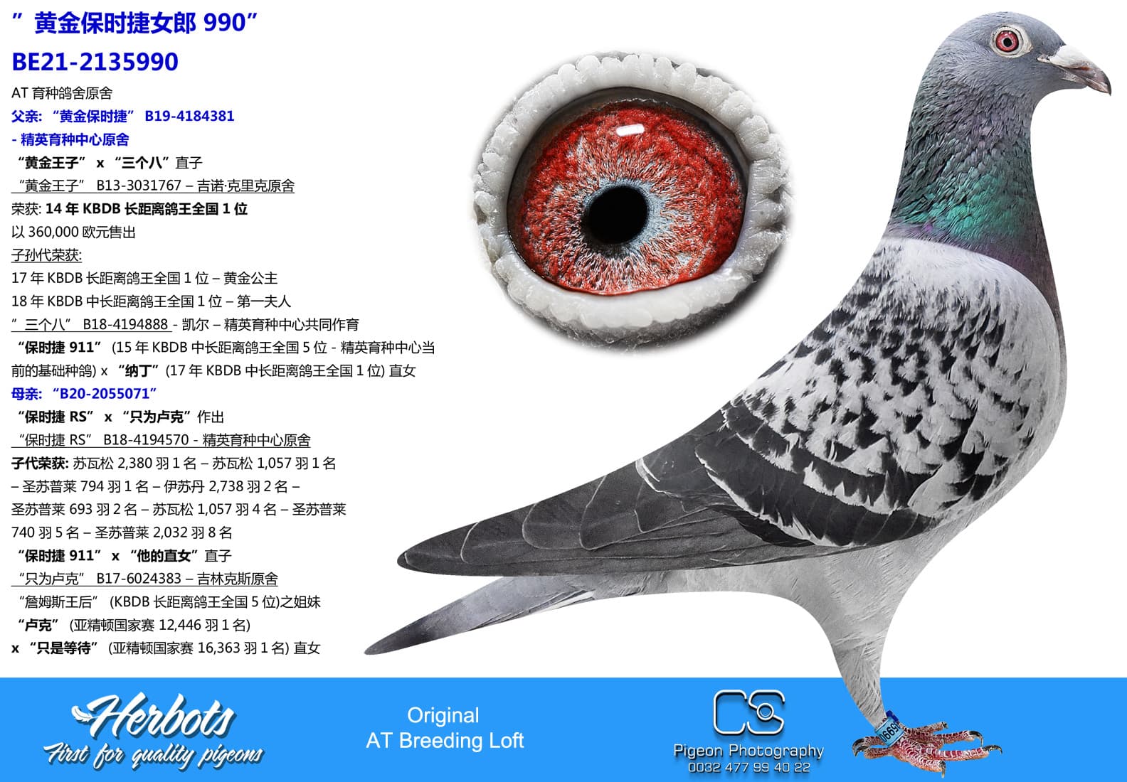 pigeon: undefined