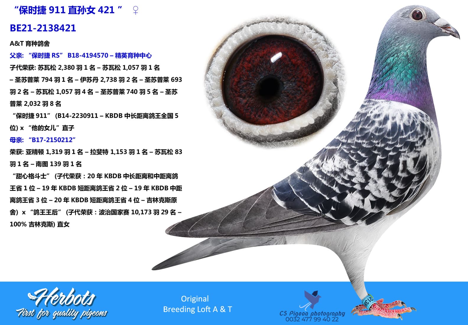 pigeon: undefined