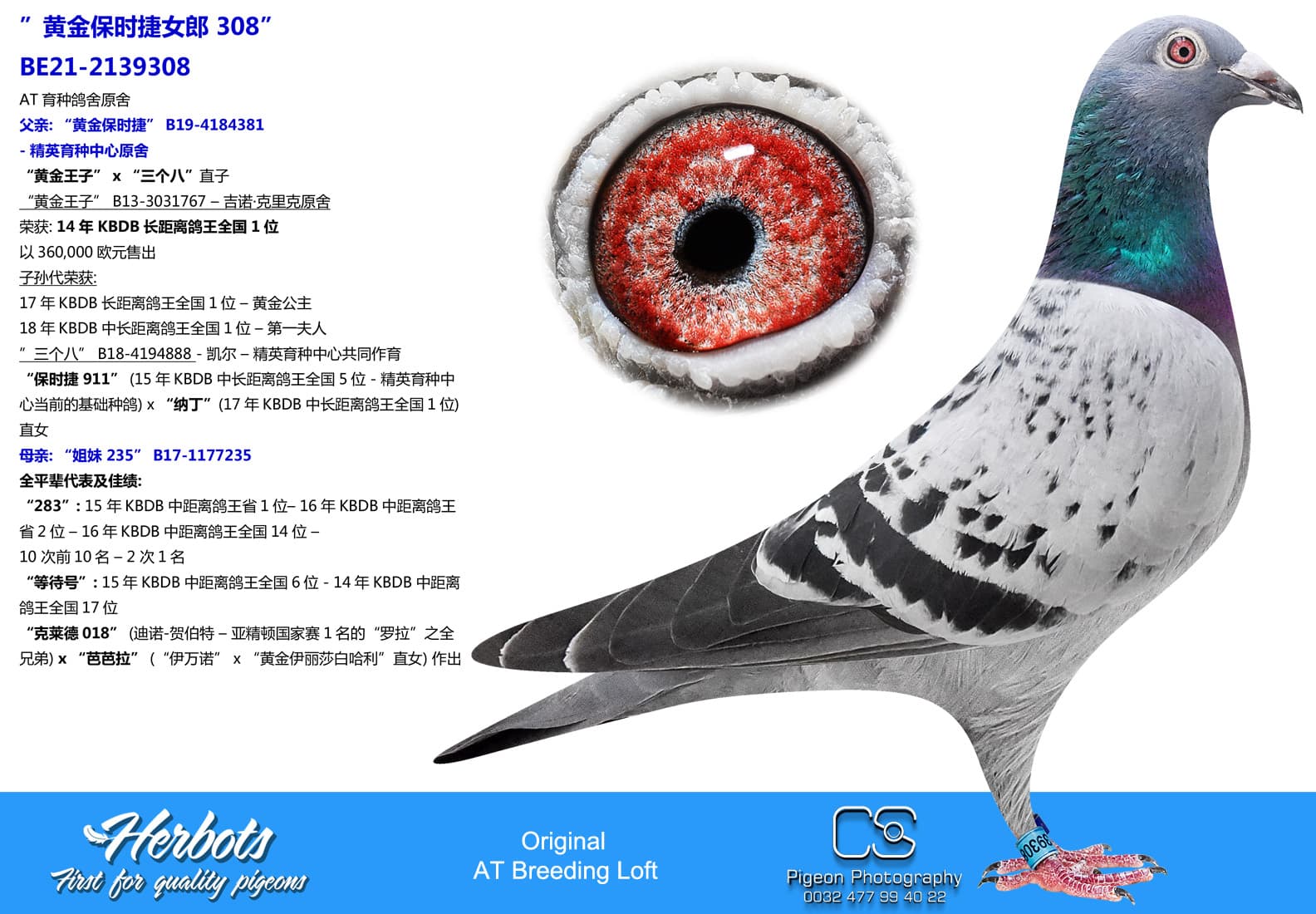 pigeon: undefined
