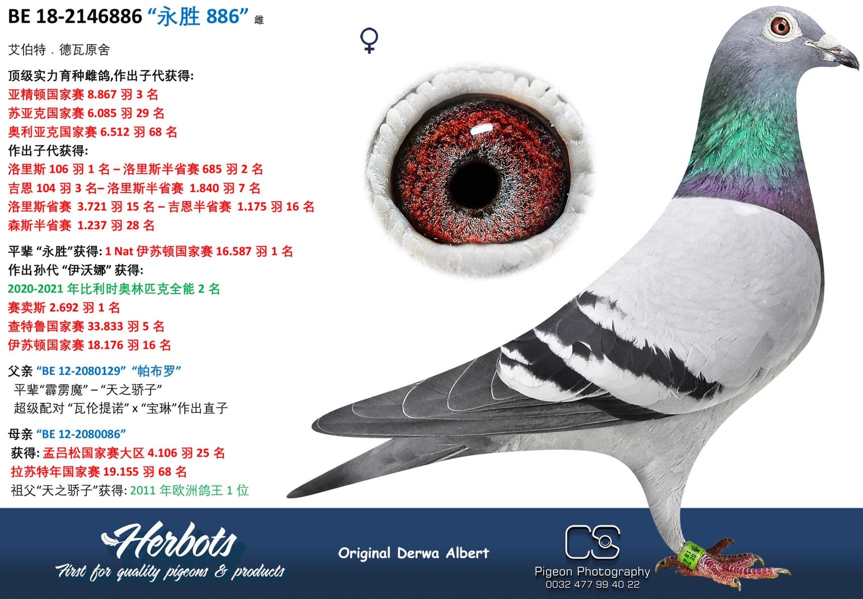 pigeon: “永胜886”