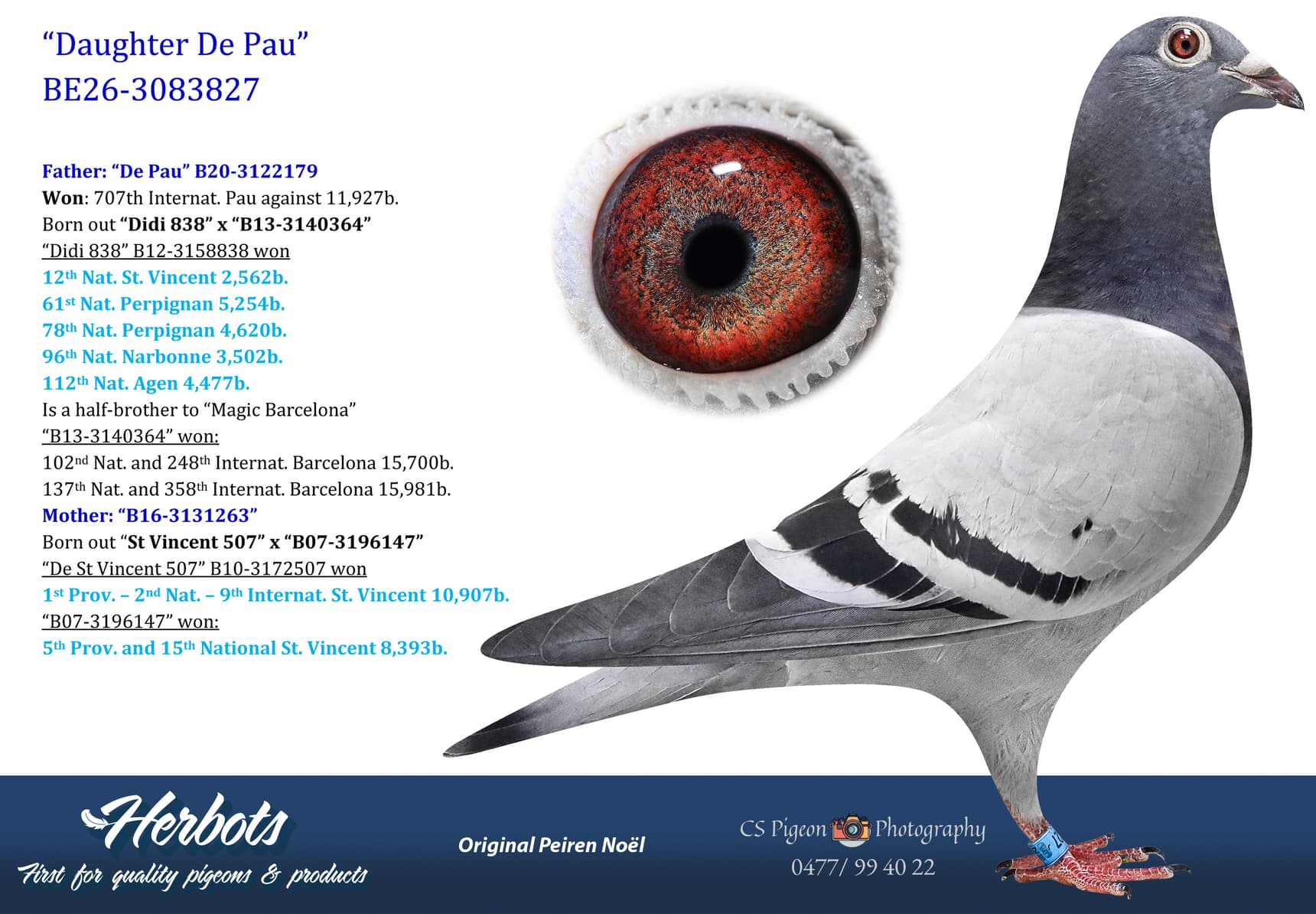 pigeon: undefined