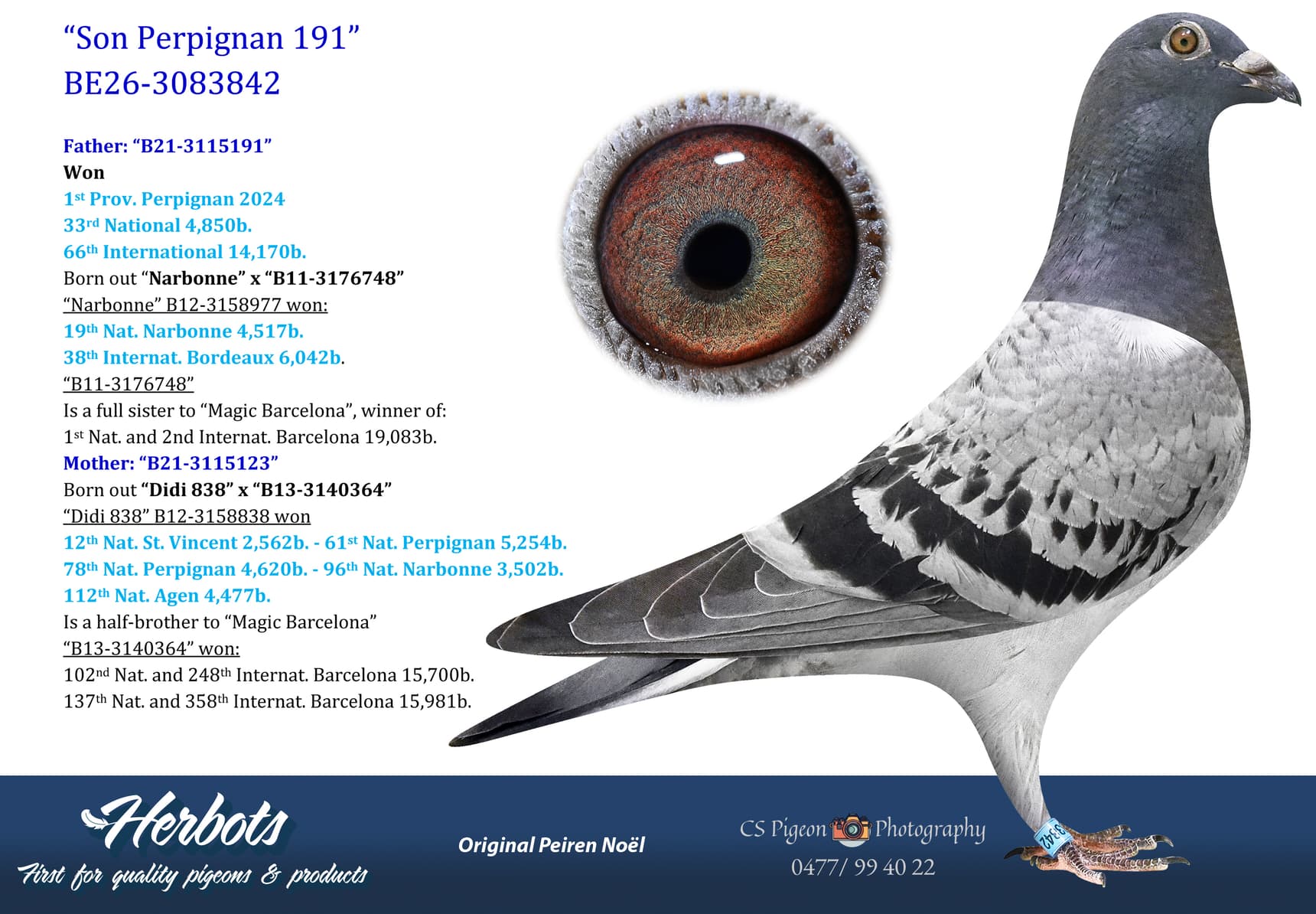 pigeon: undefined