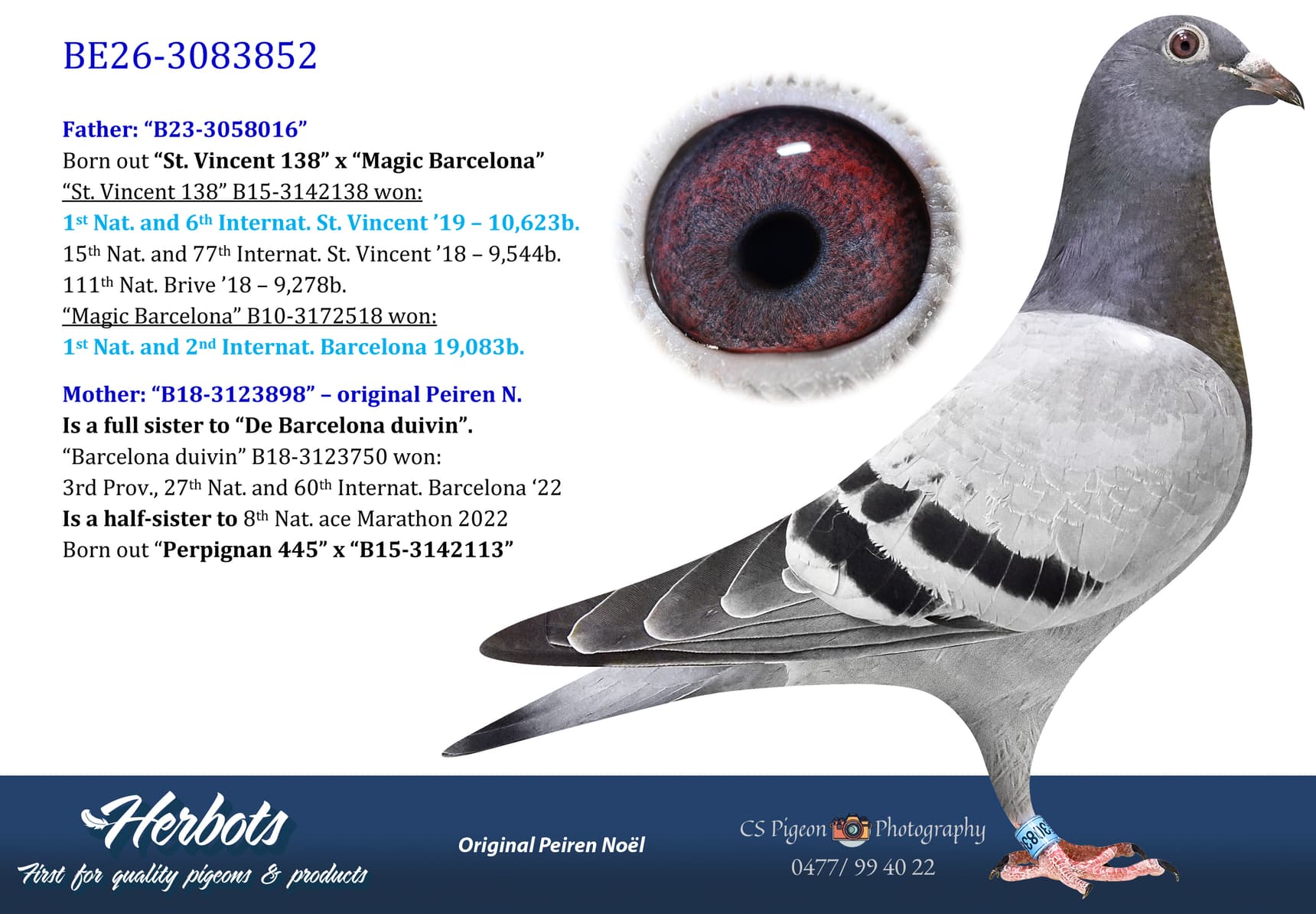 pigeon: undefined