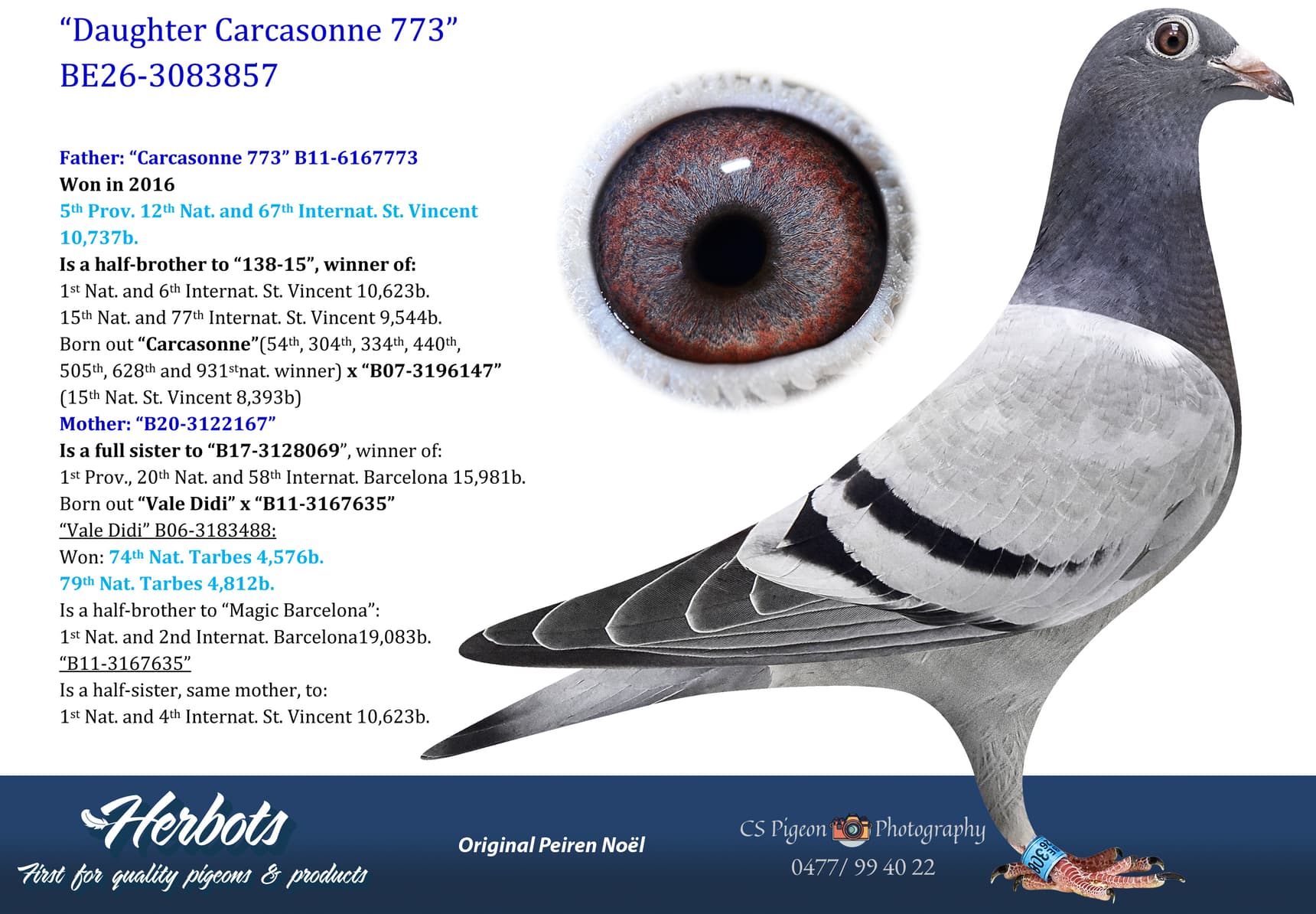 pigeon: undefined