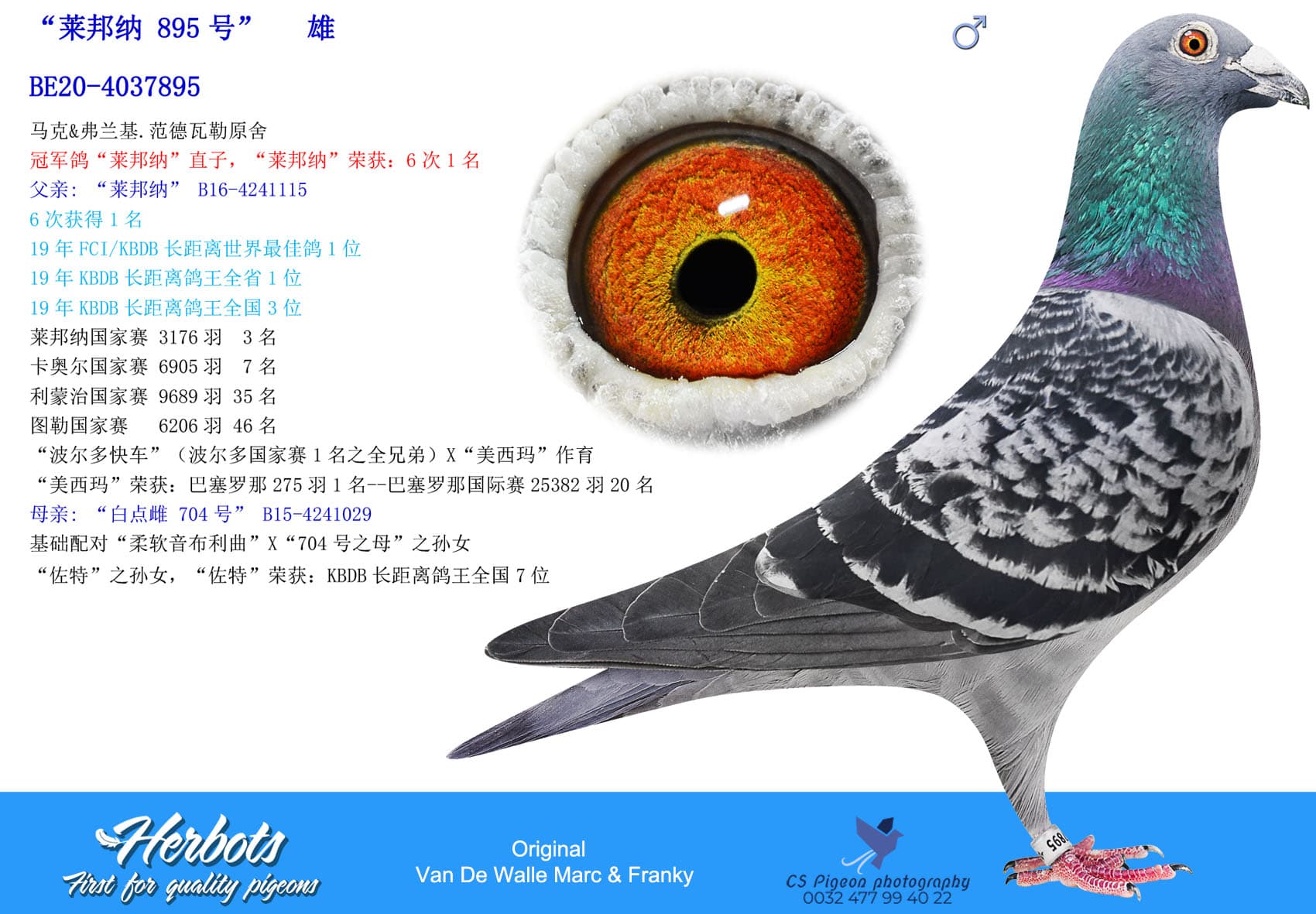 pigeon: undefined