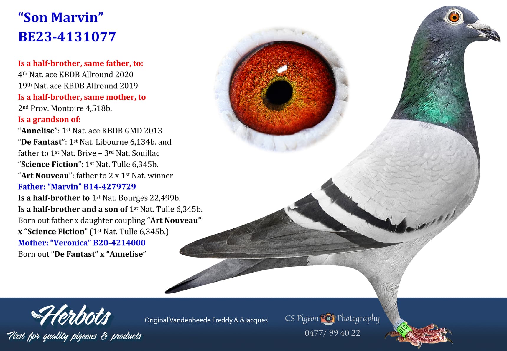 pigeon: undefined