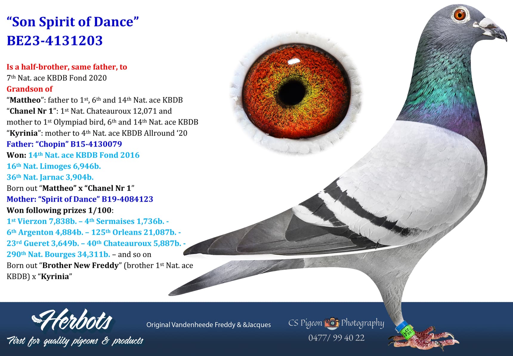 pigeon: undefined