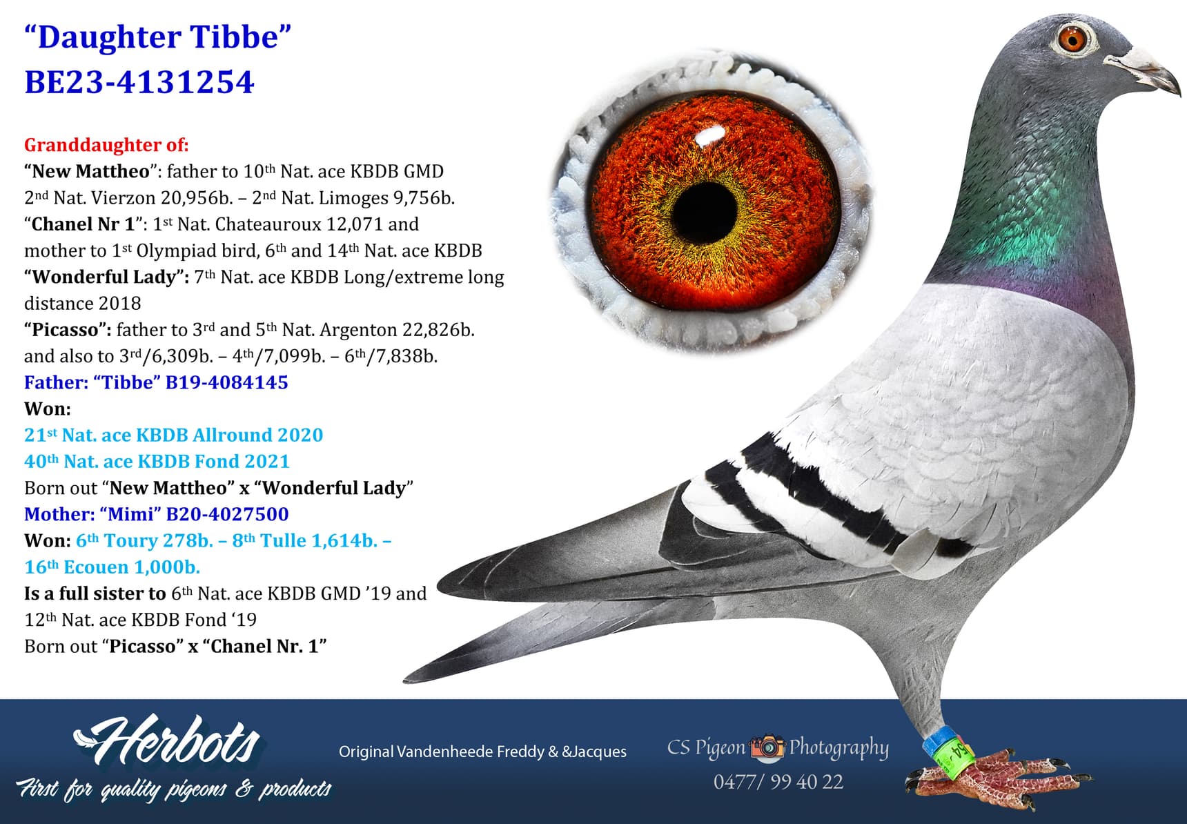 pigeon: undefined