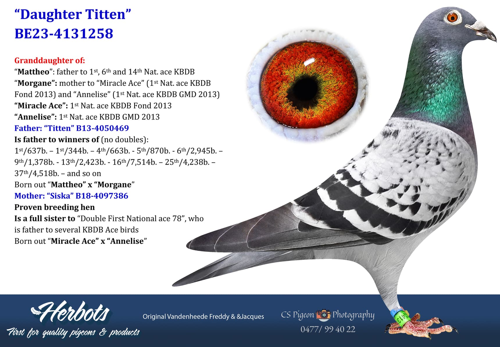 pigeon: undefined