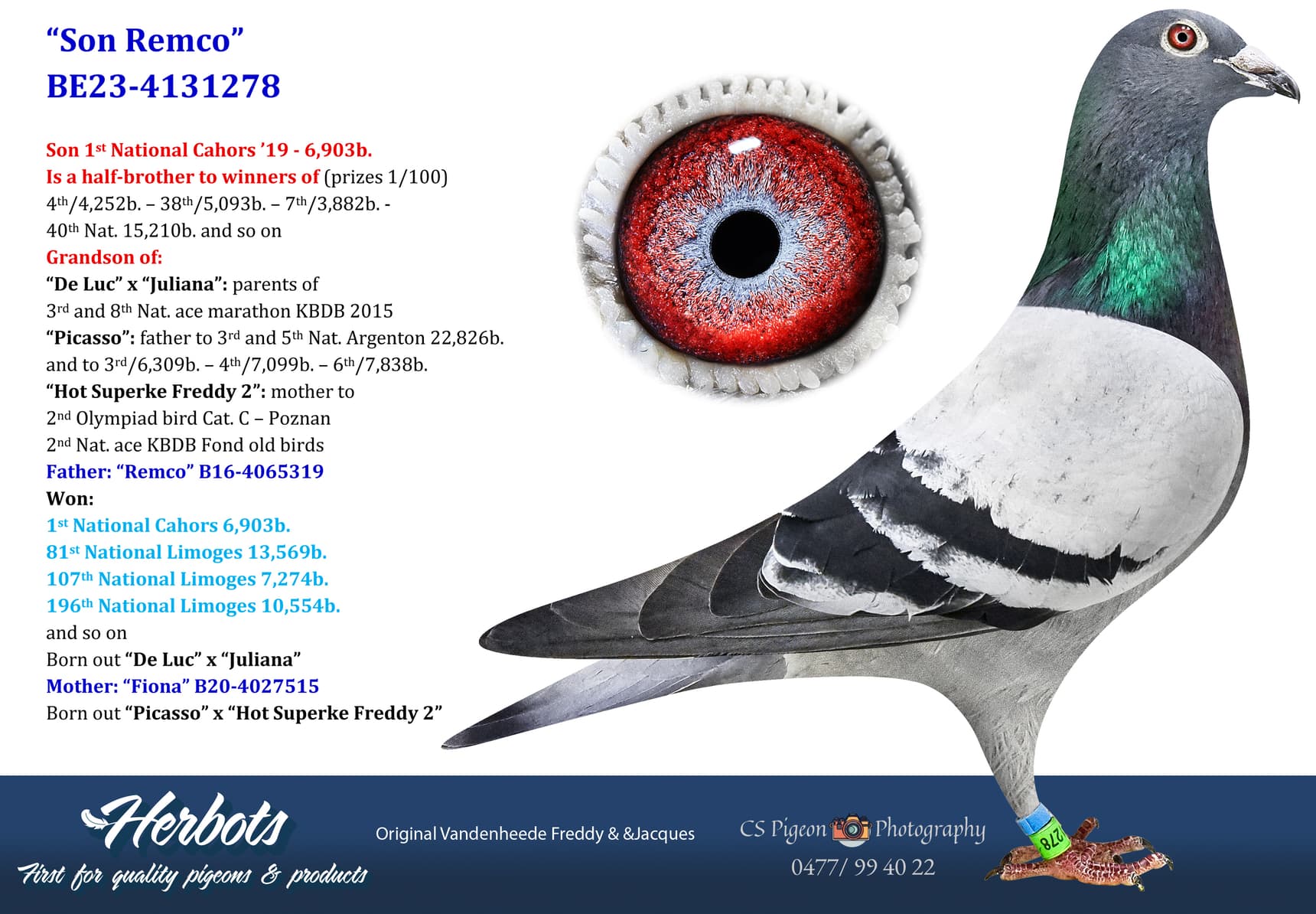 pigeon: undefined