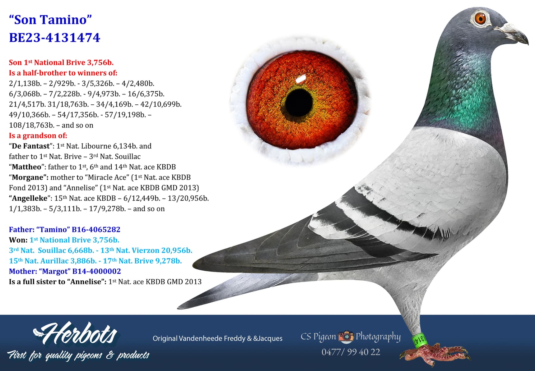 pigeon: undefined