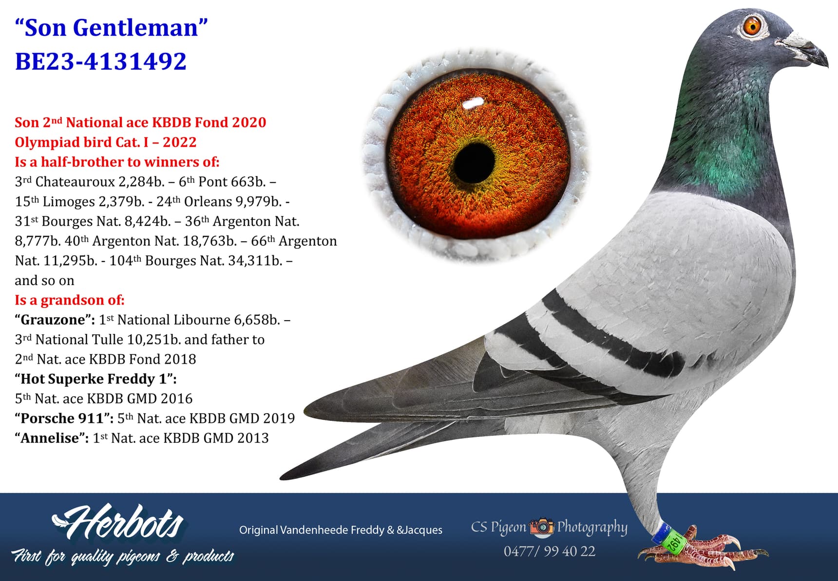 pigeon: undefined