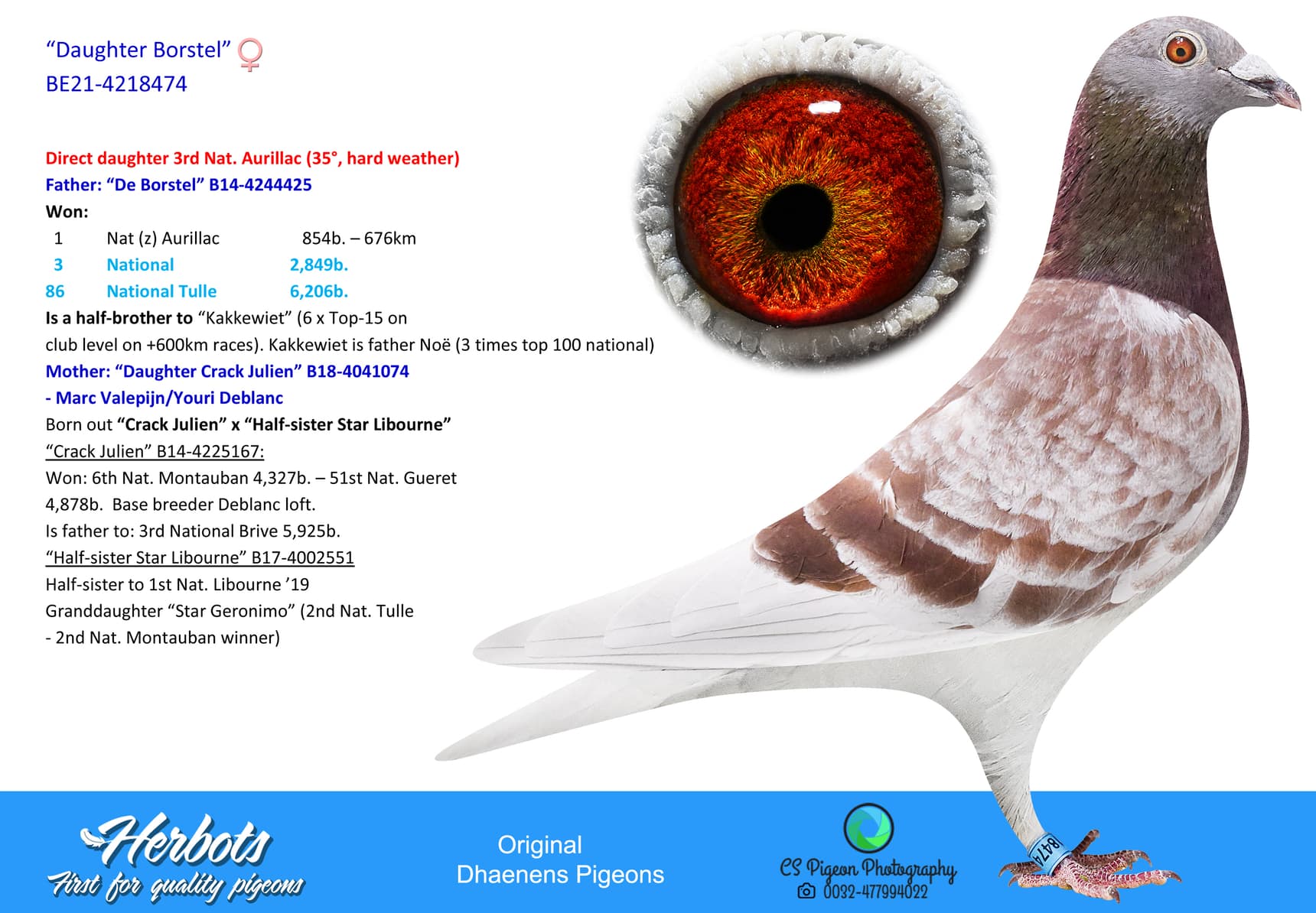pigeon: undefined