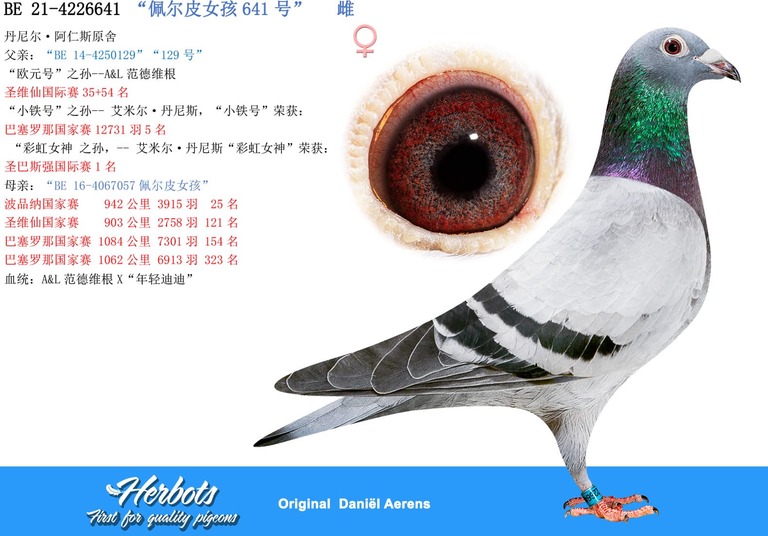 pigeon: undefined