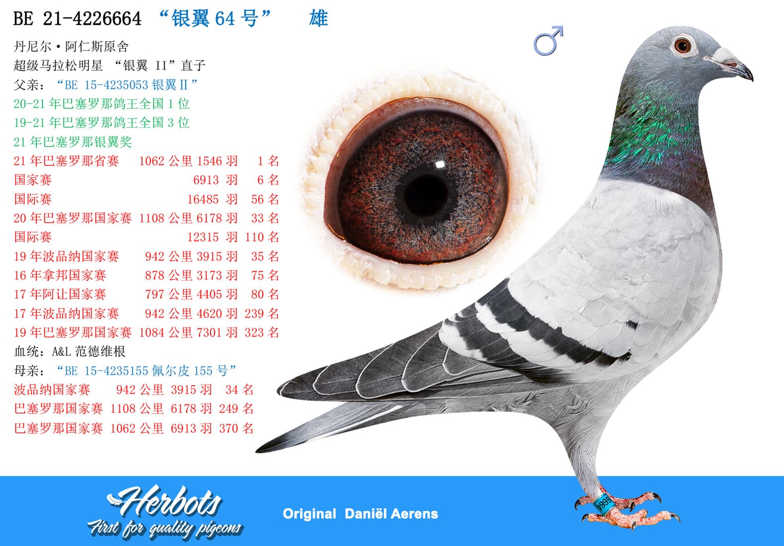 pigeon: undefined