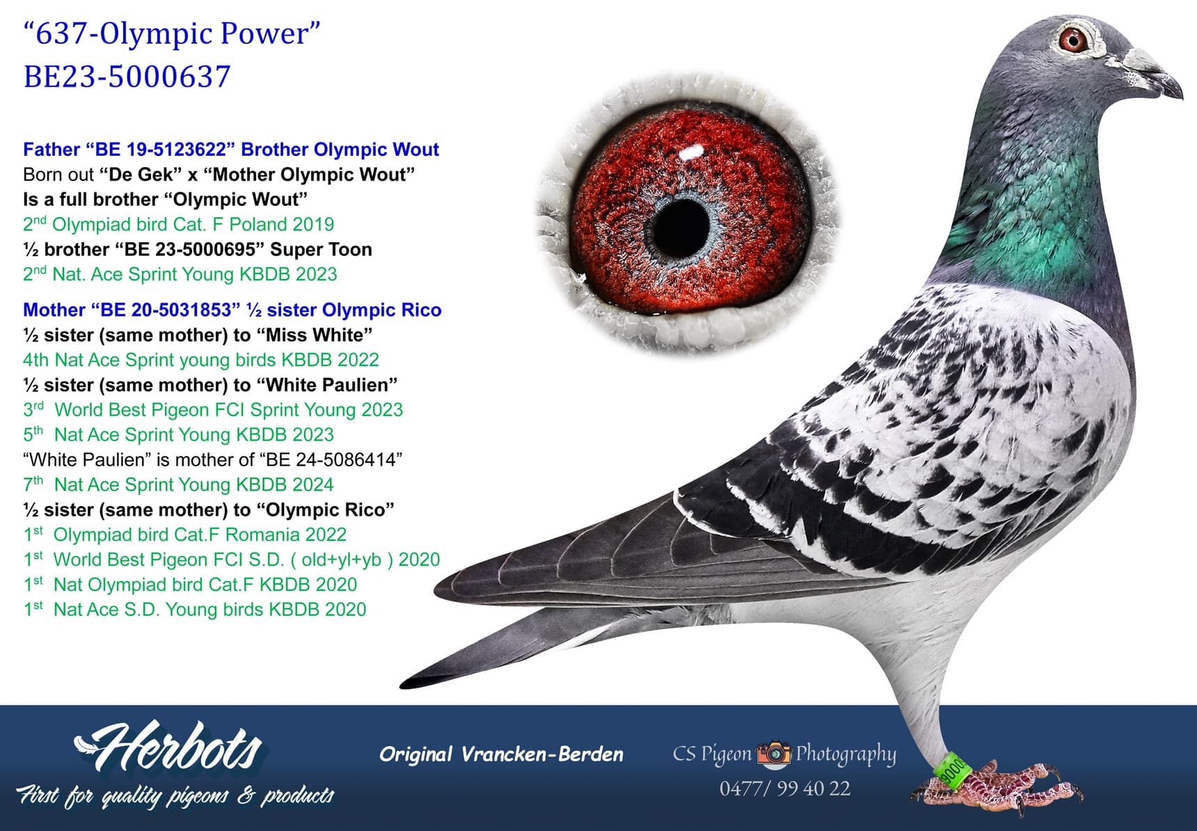 pigeon: undefined
