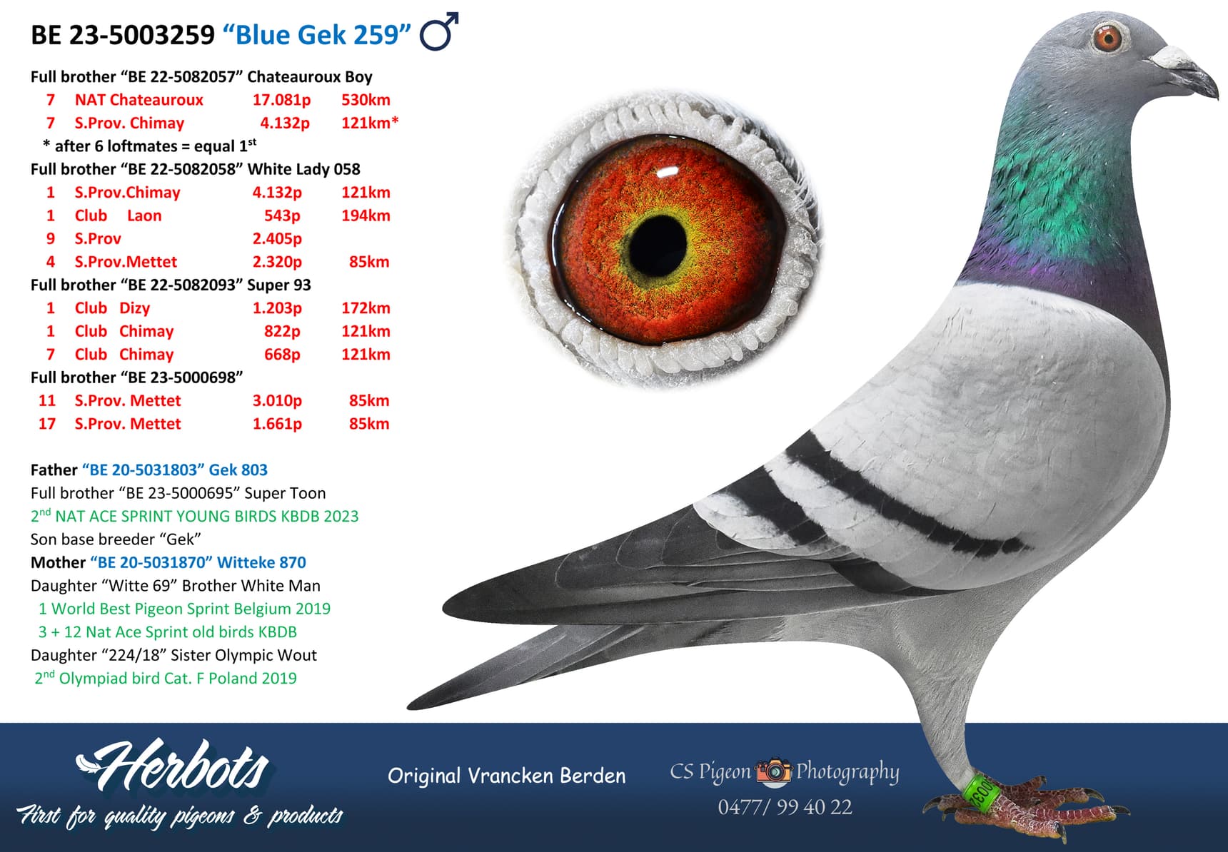 pigeon: undefined