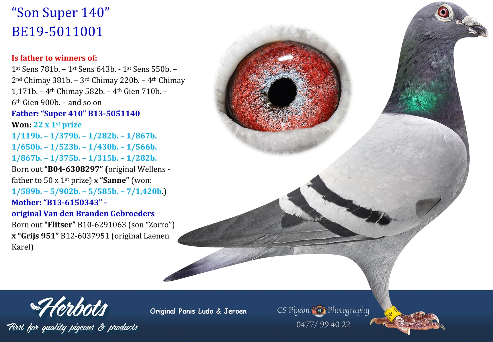 pigeon: undefined