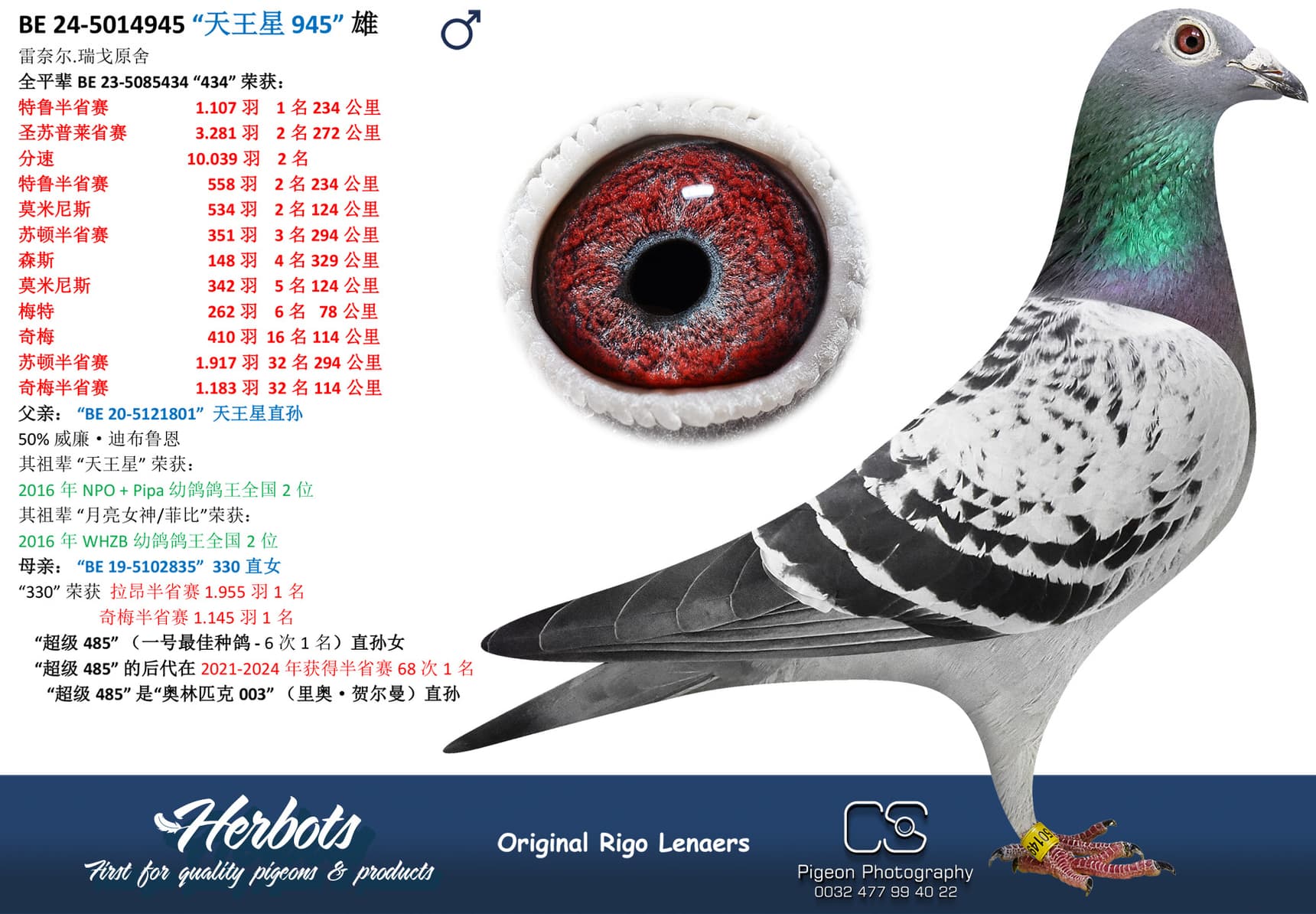 pigeon: “天王星 945”