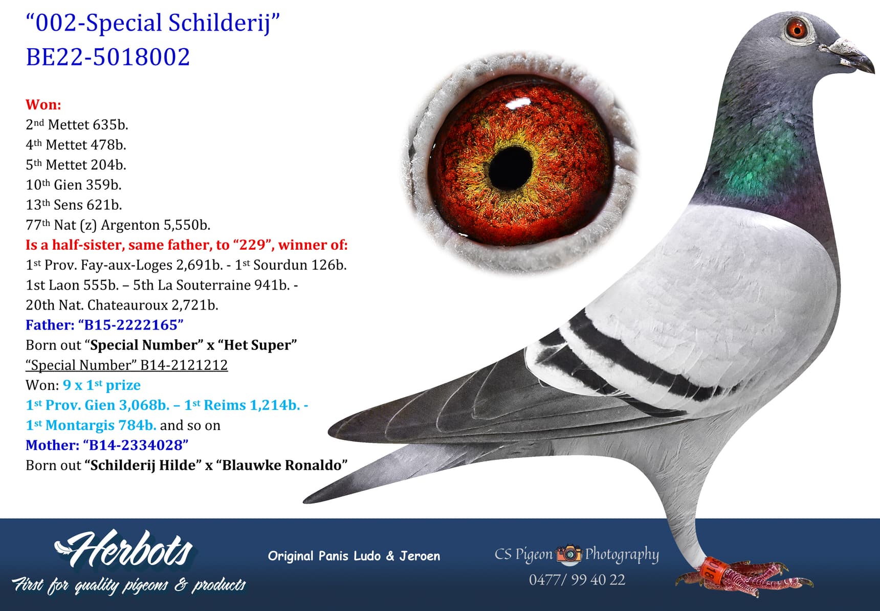 pigeon: undefined