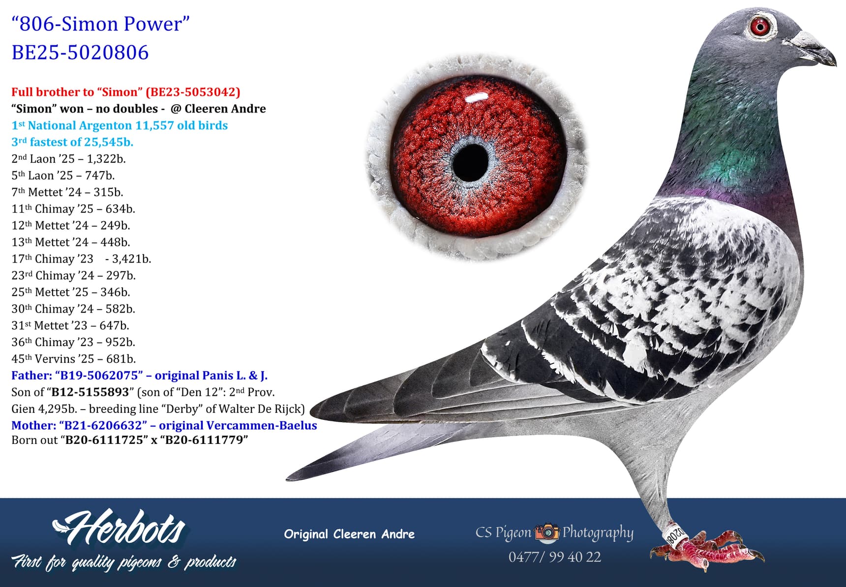 pigeon: undefined