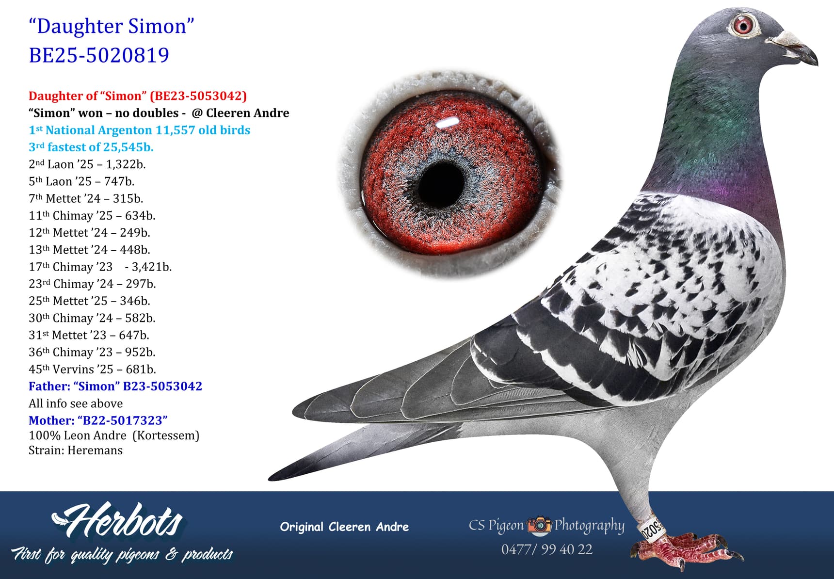 pigeon: undefined