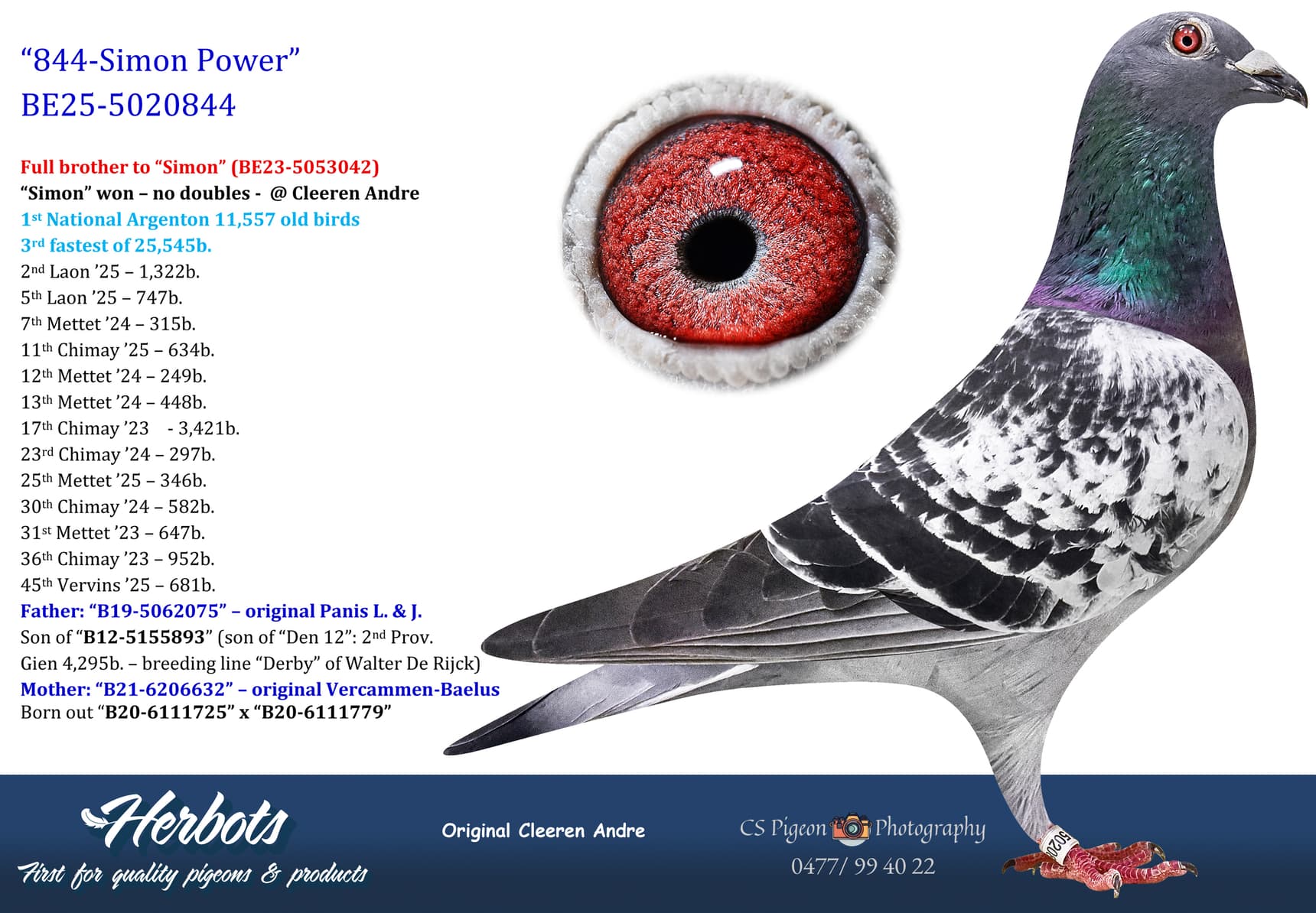 pigeon: undefined