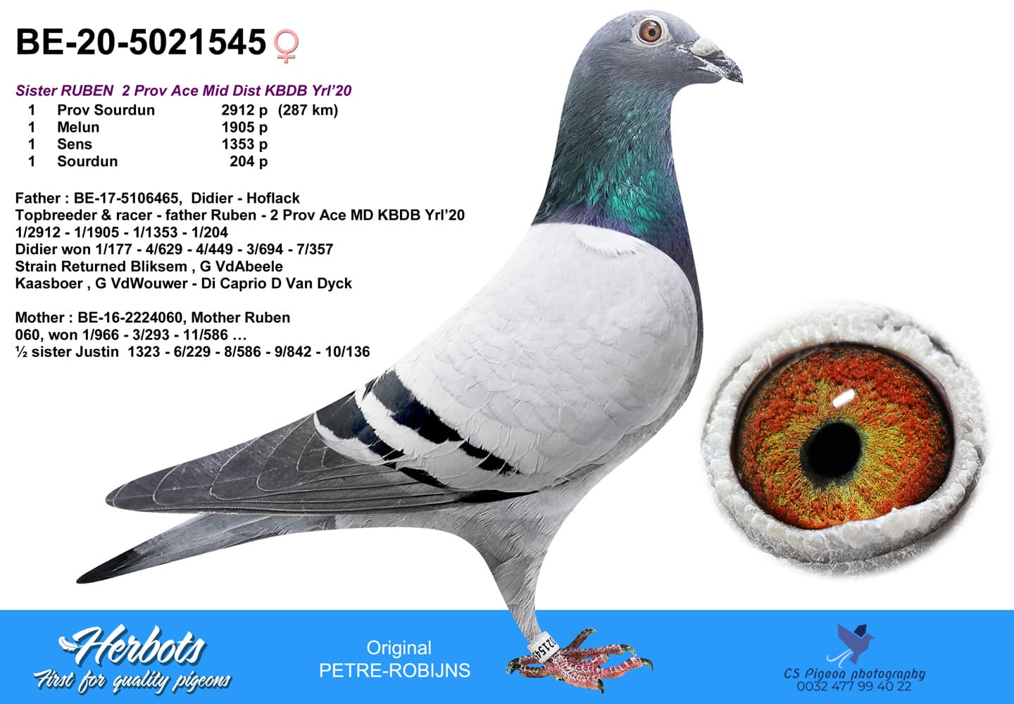 pigeon: undefined