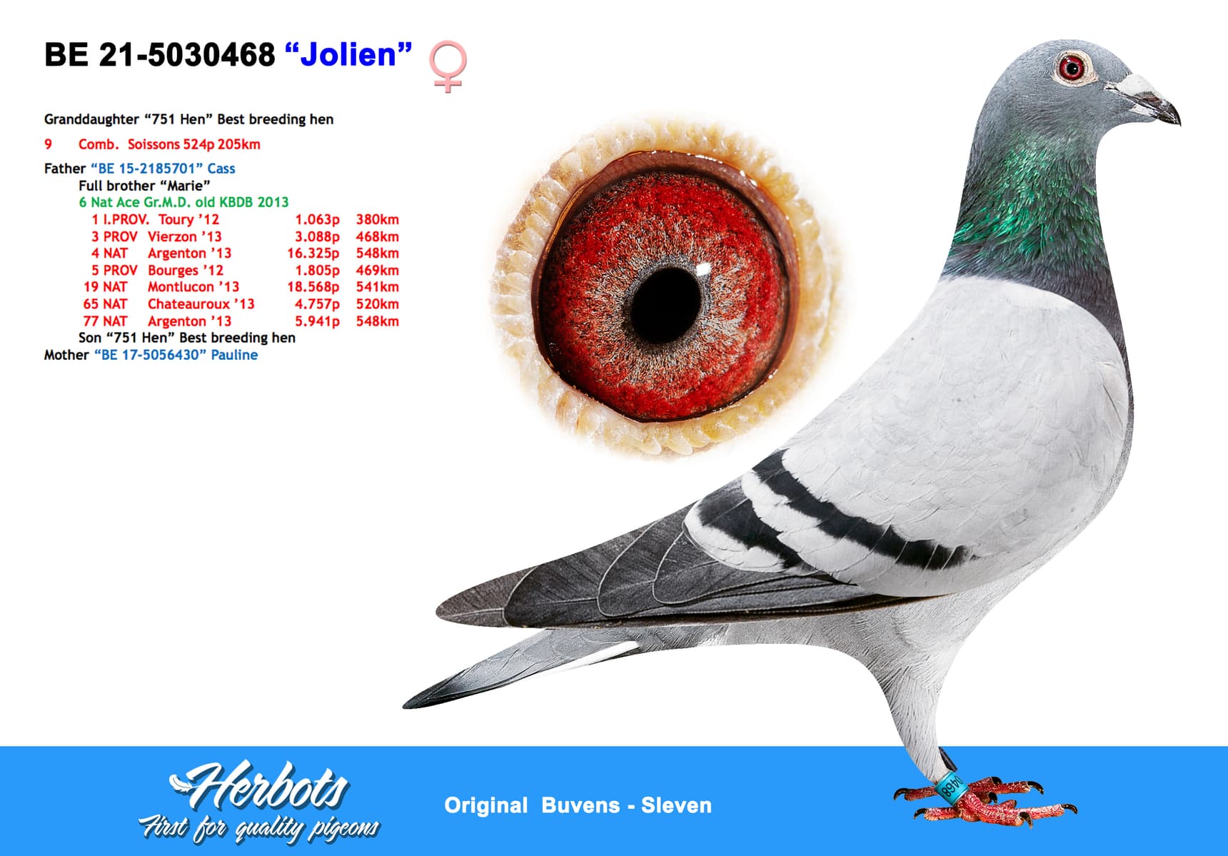 pigeon: undefined