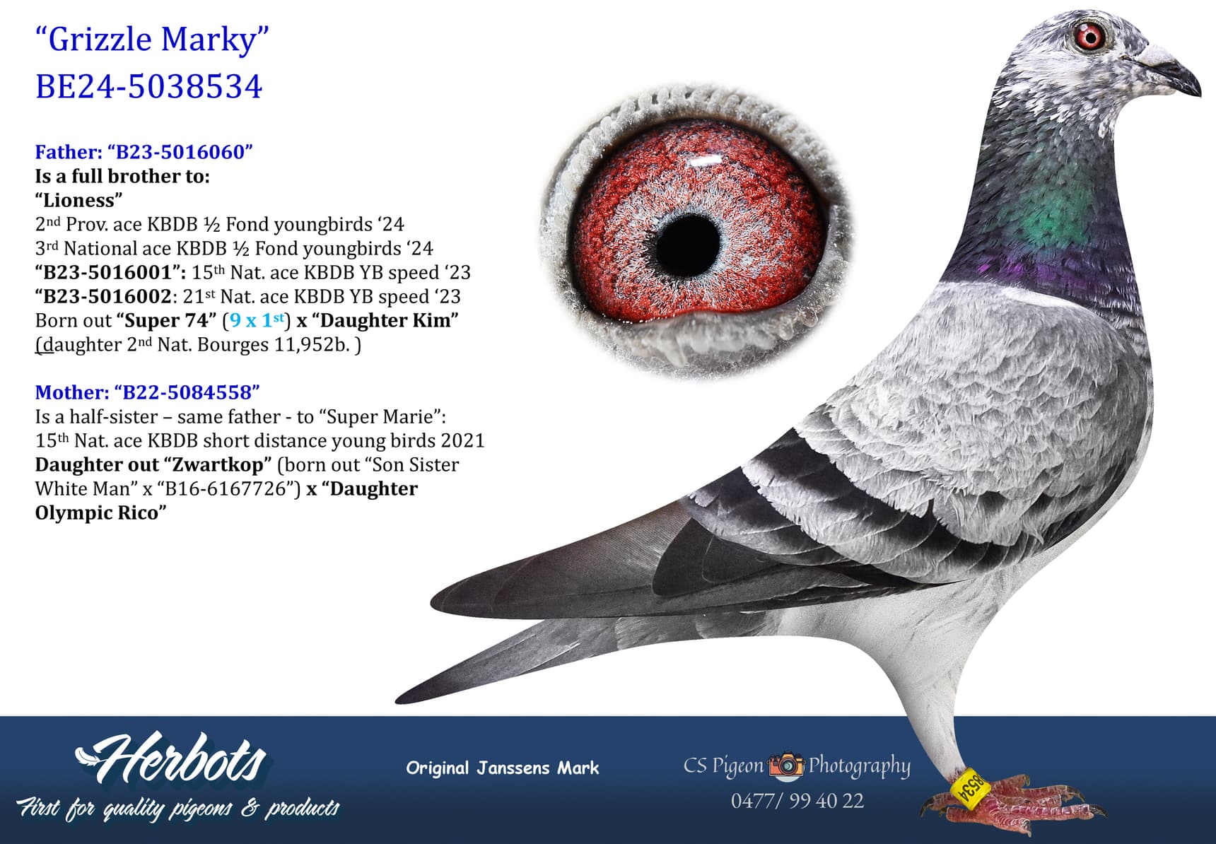 pigeon: undefined