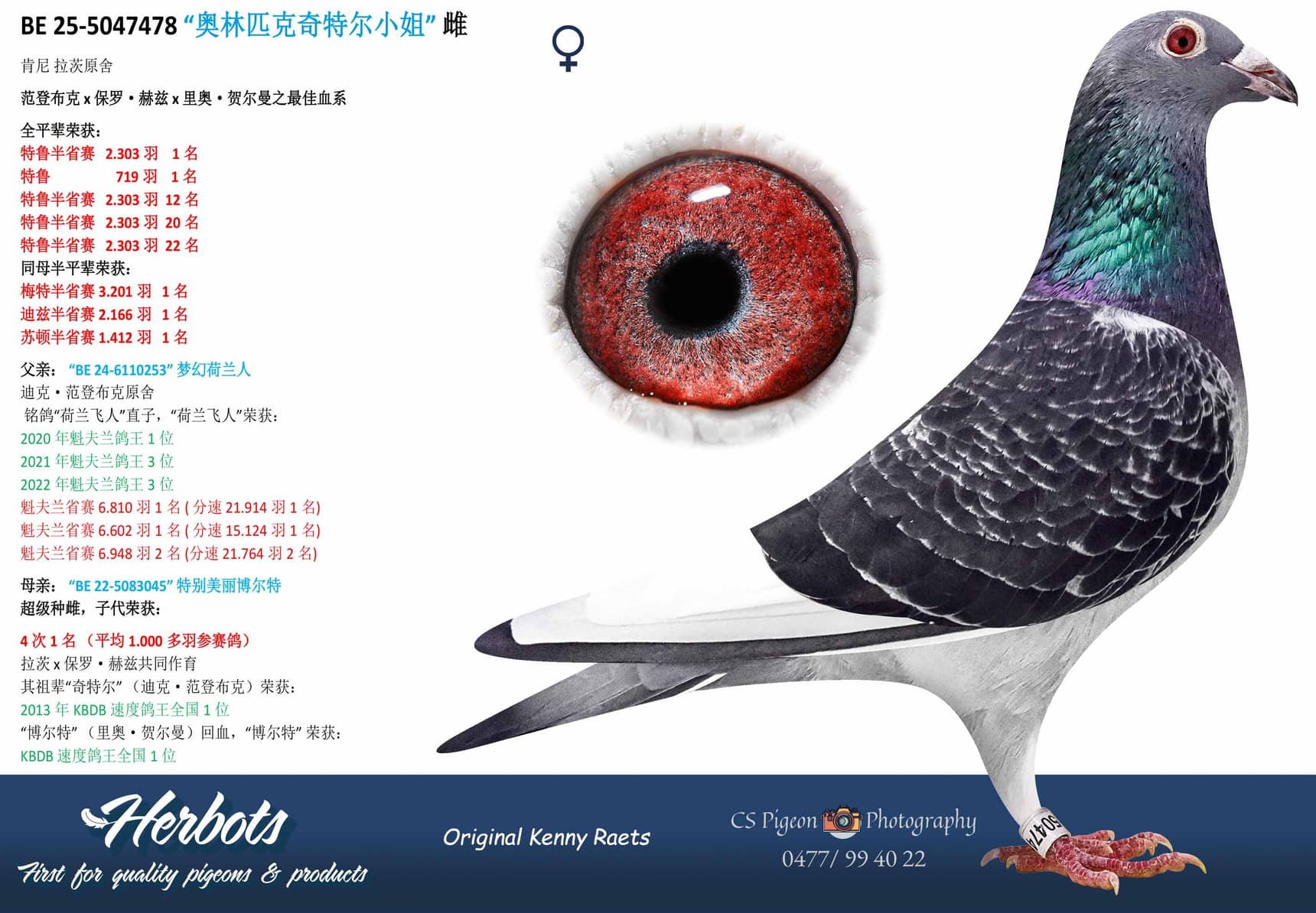 pigeon: undefined