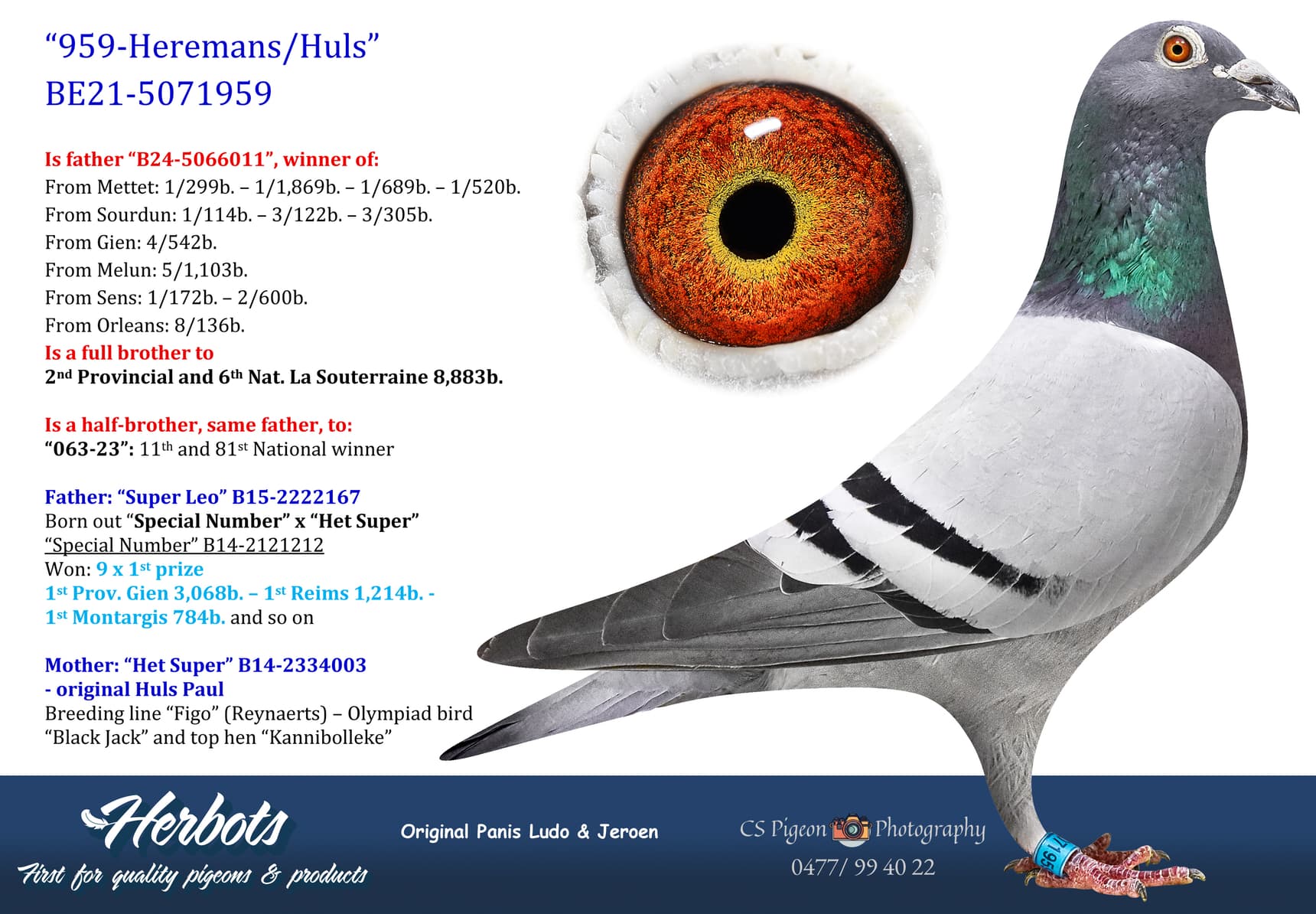 pigeon: undefined