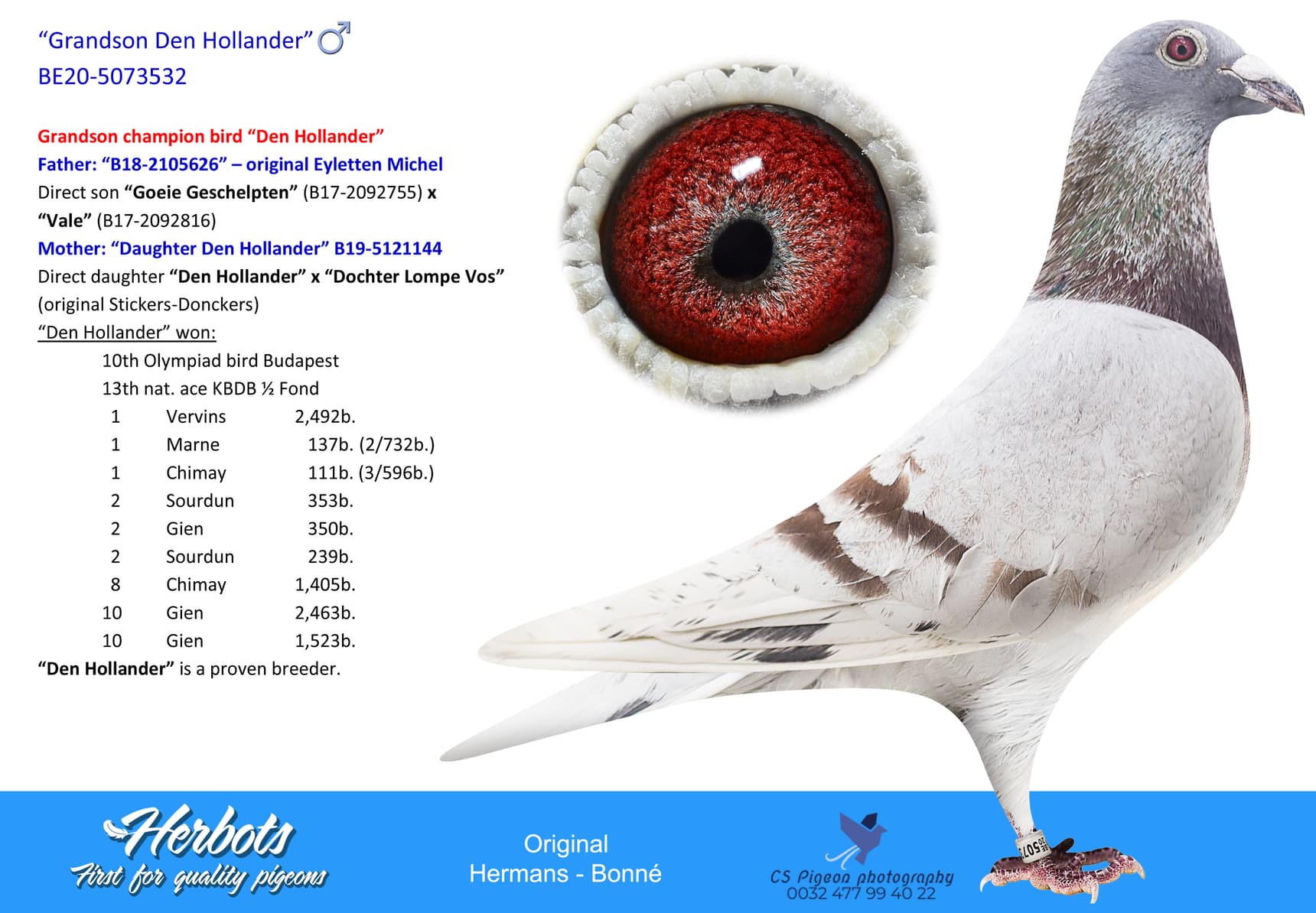 pigeon: undefined