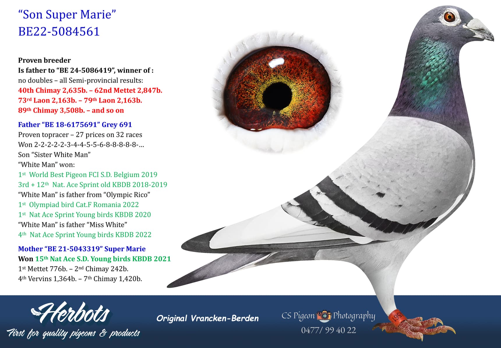 pigeon: undefined