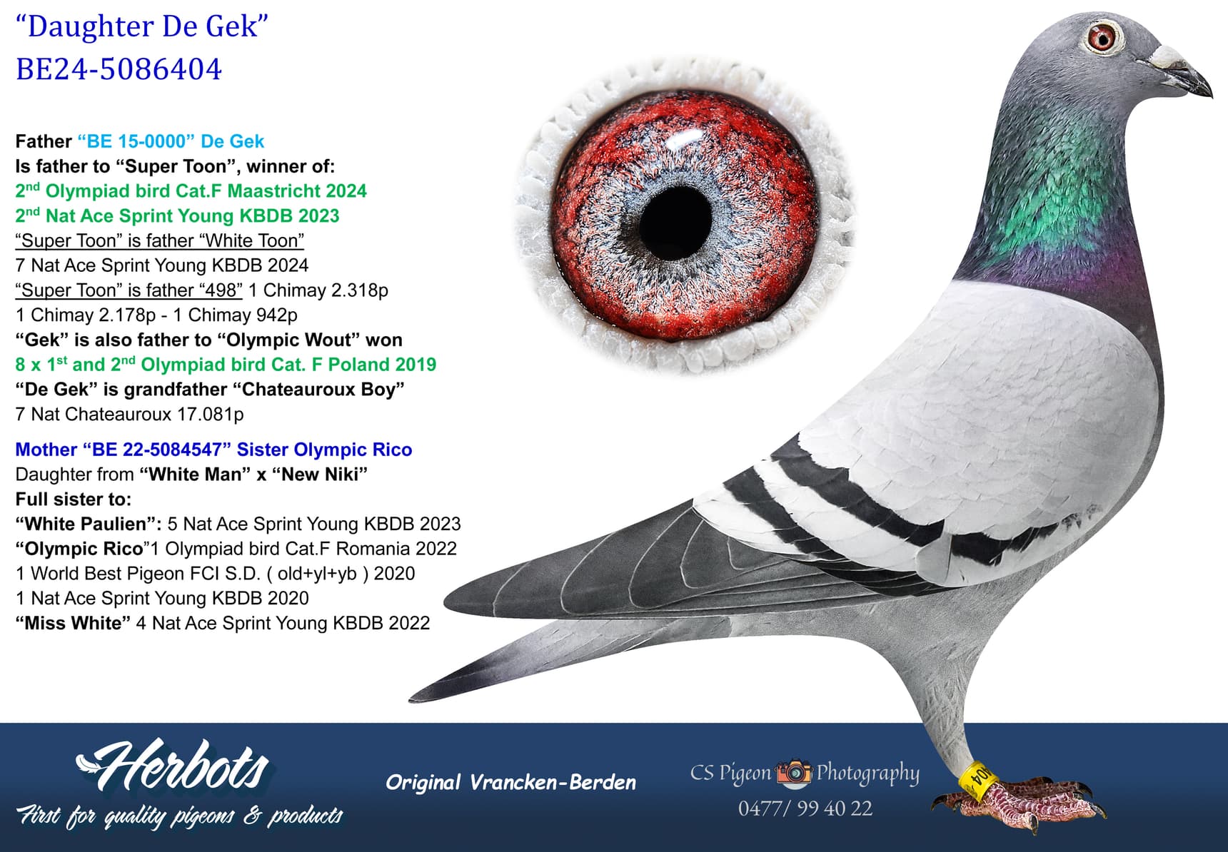 pigeon: undefined