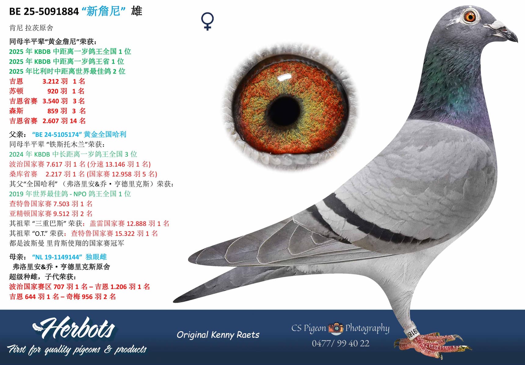 pigeon: undefined