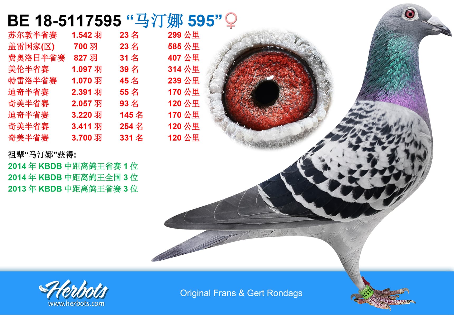 pigeon: undefined