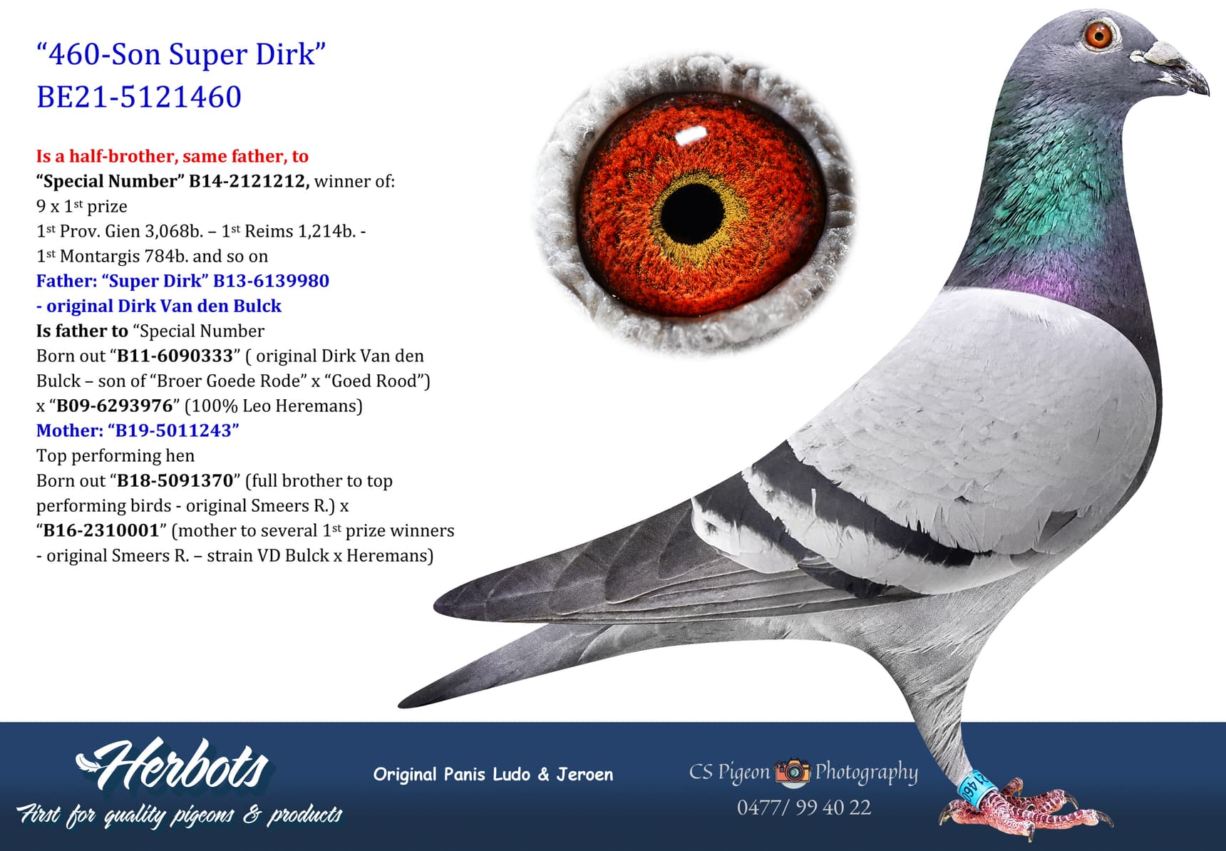 pigeon: undefined