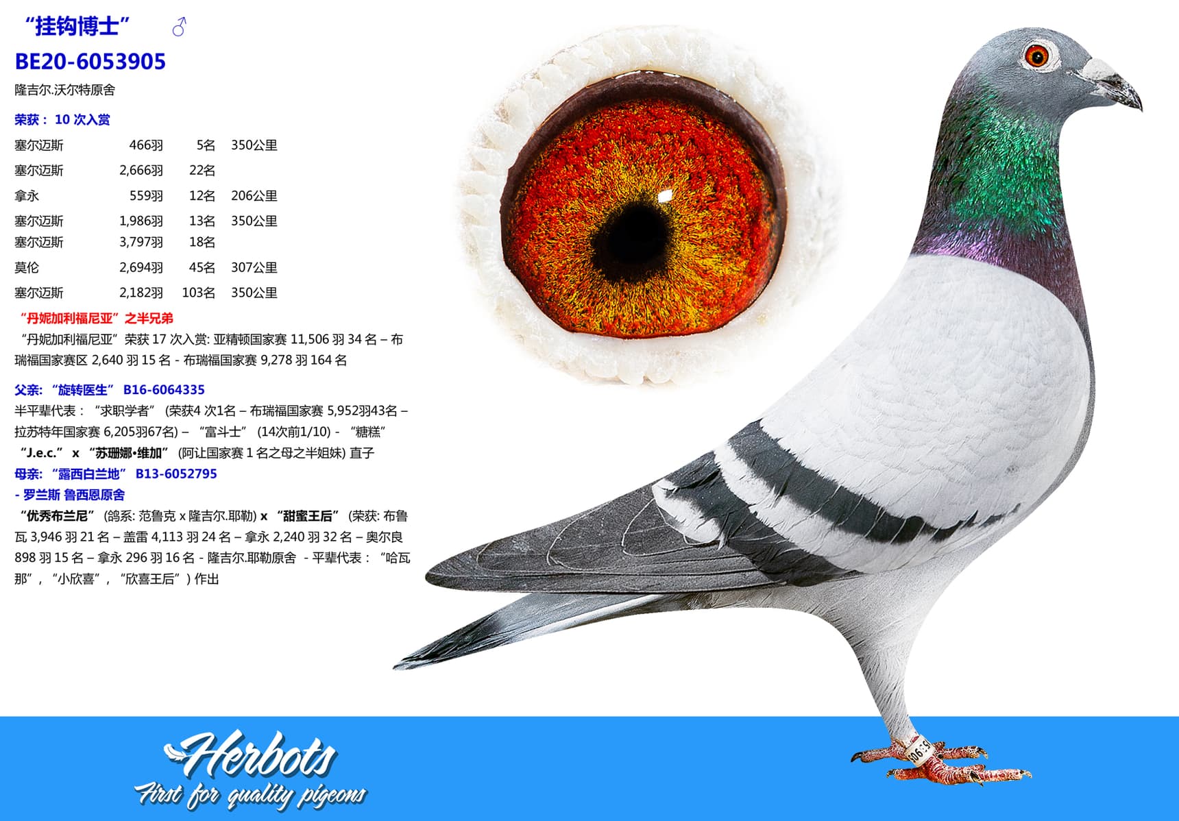 pigeon: undefined