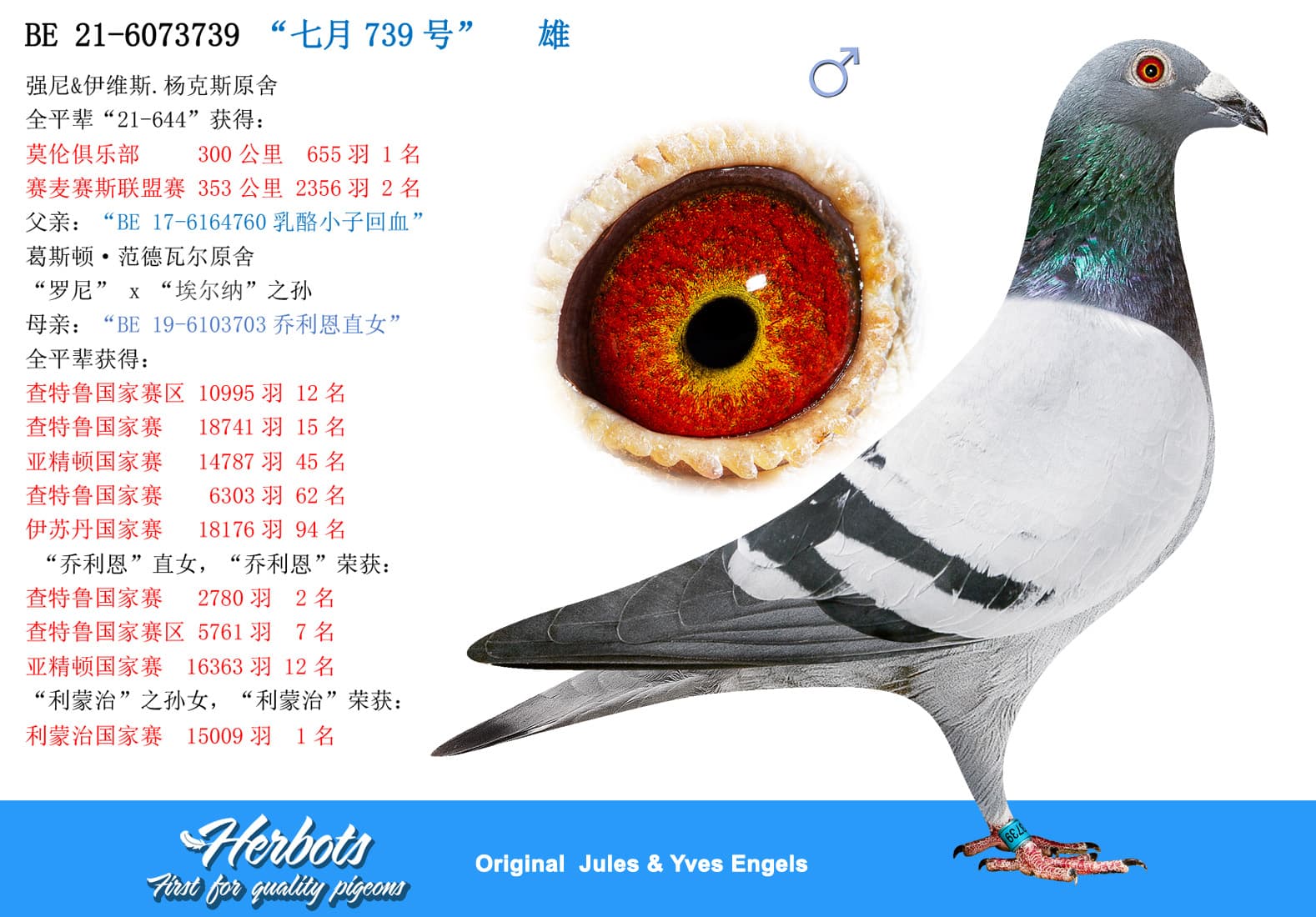 pigeon: undefined