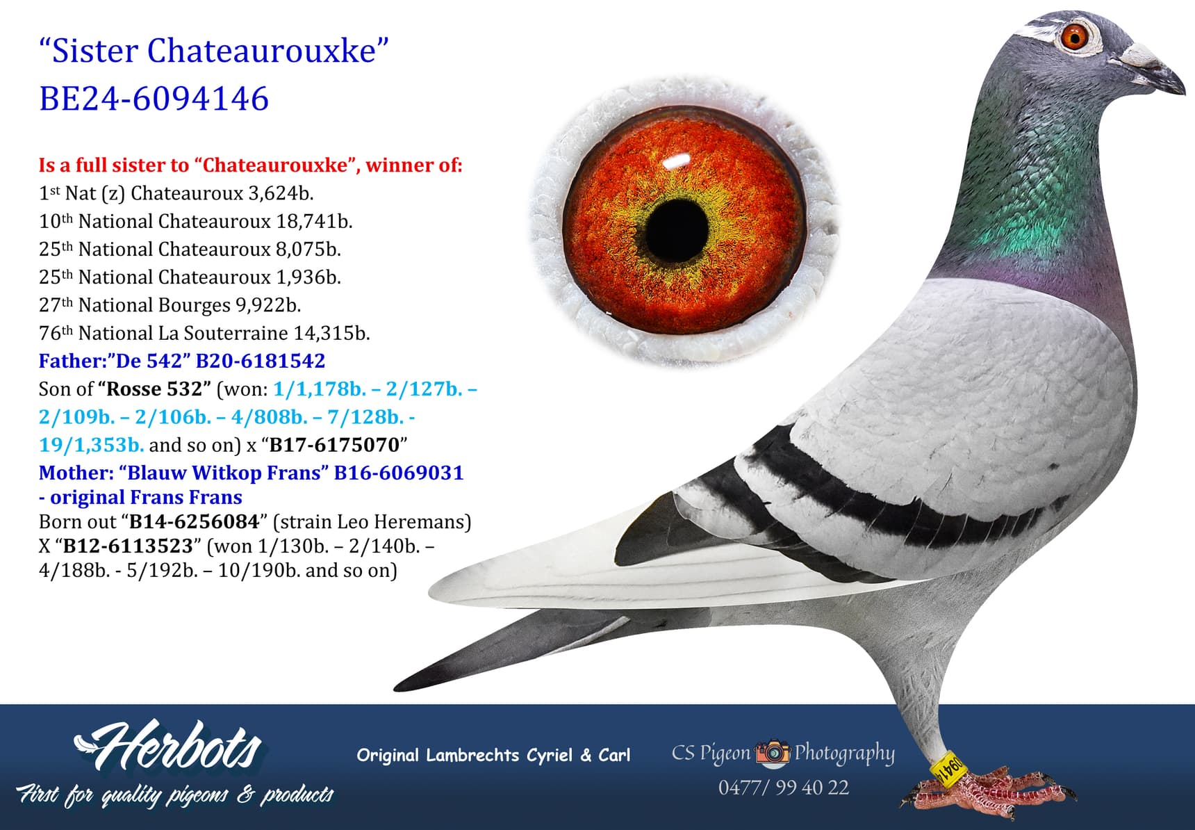 pigeon: undefined