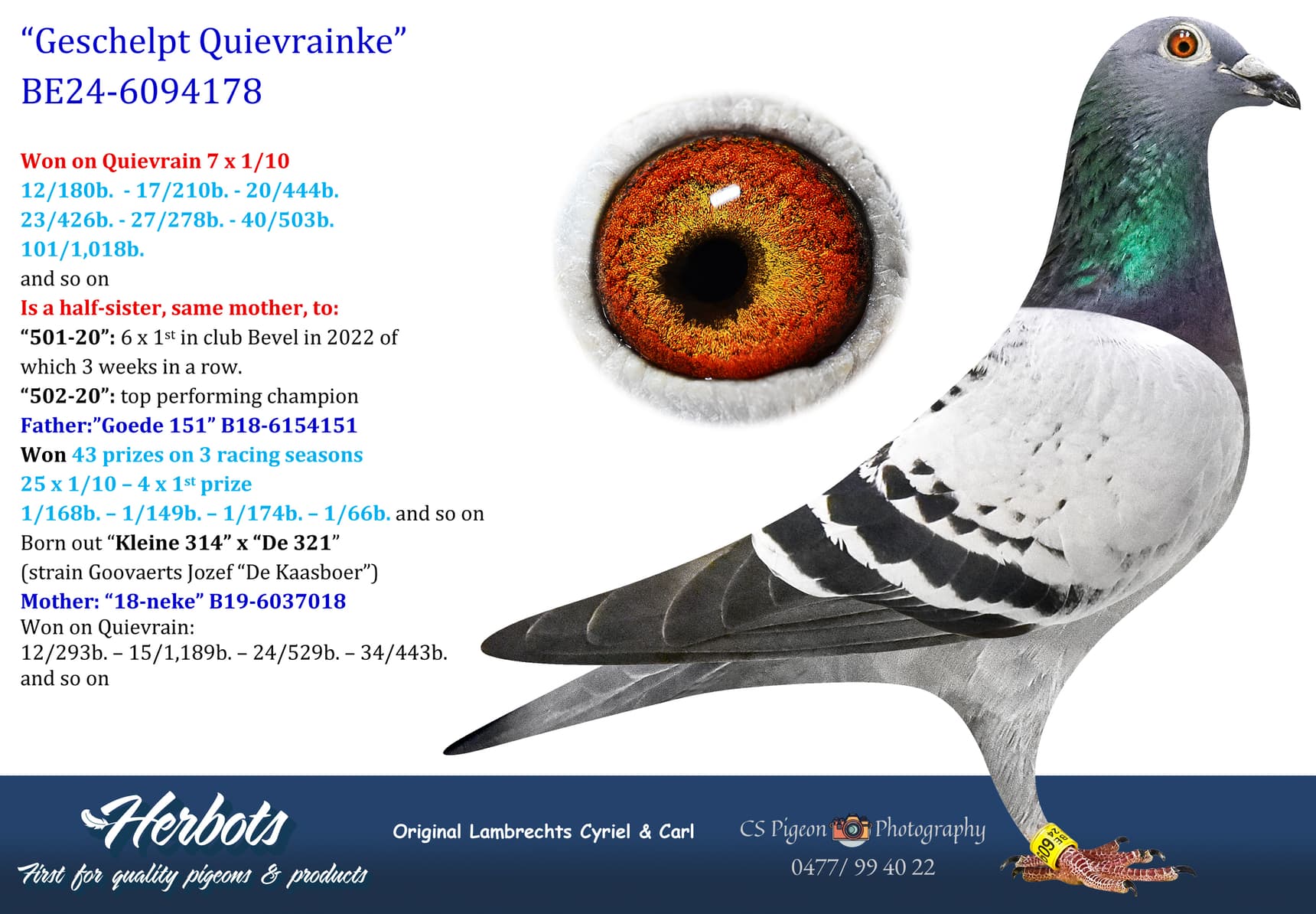 pigeon: undefined