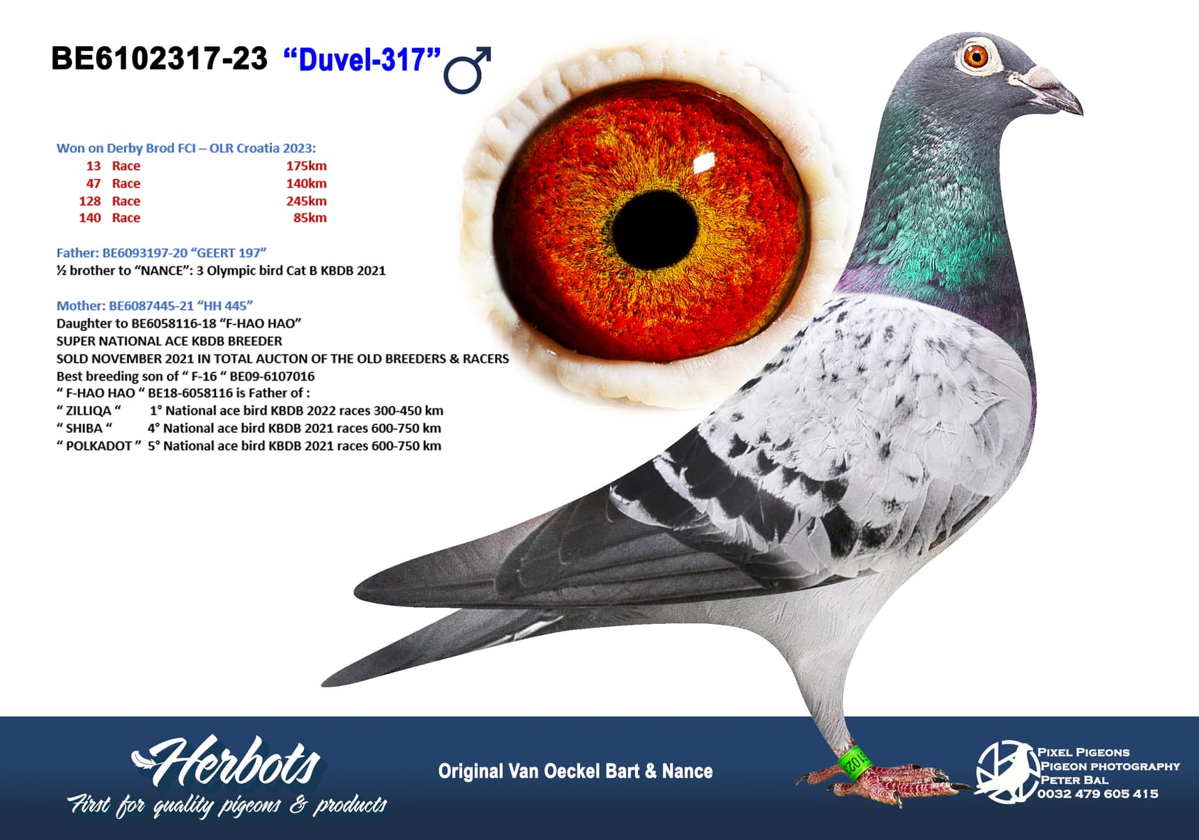 Duvel-317