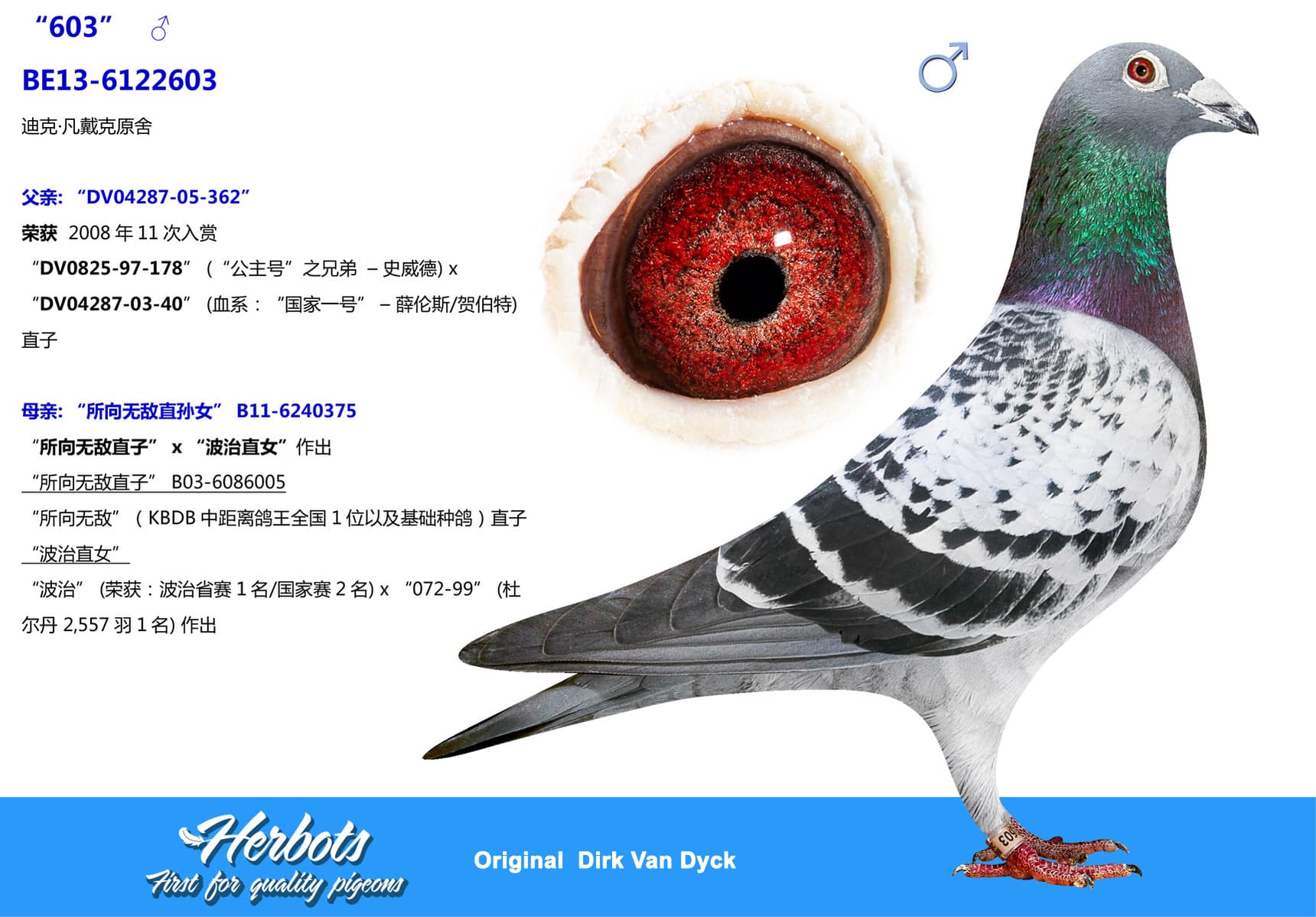 pigeon: undefined