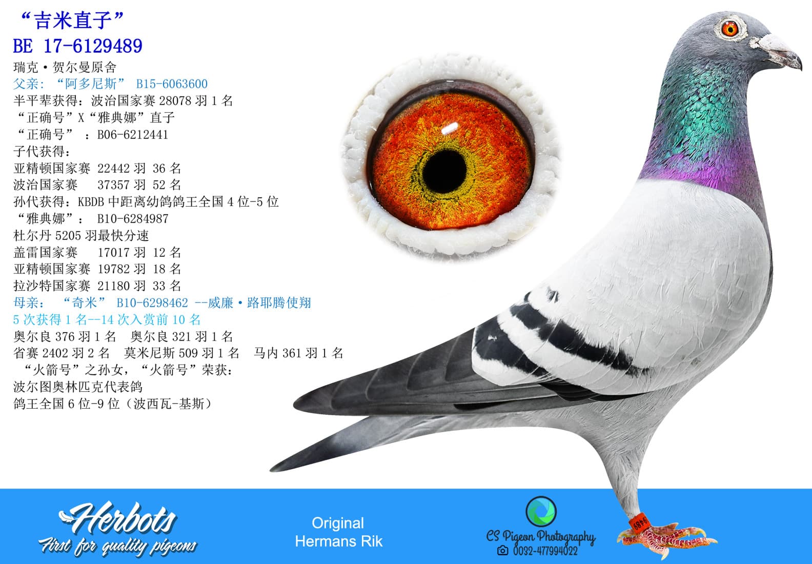 pigeon: undefined