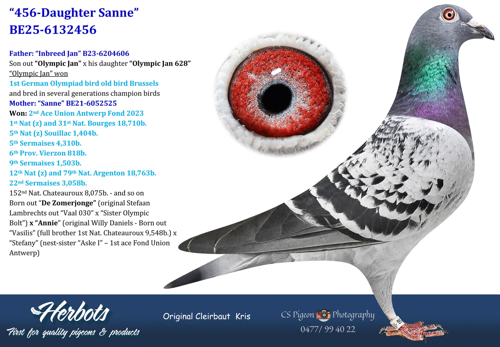 pigeon: undefined