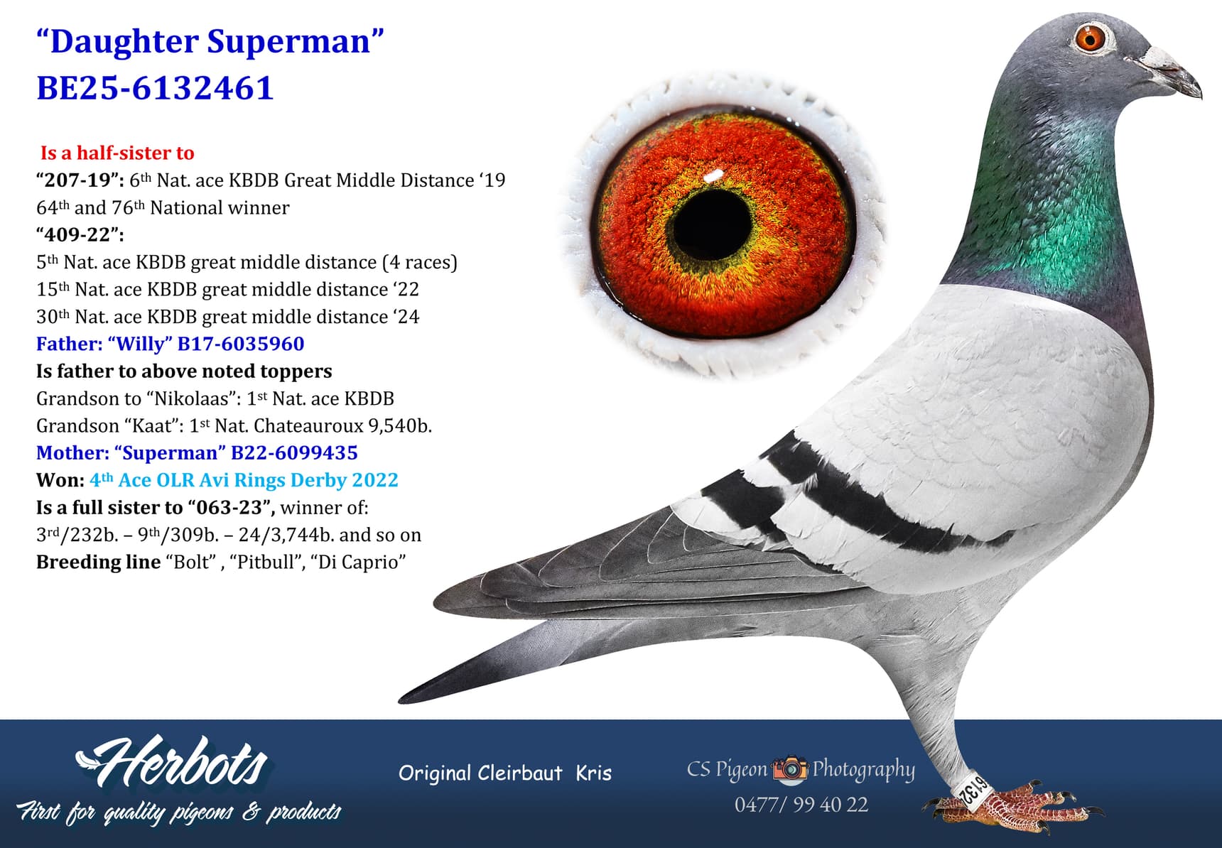 pigeon: undefined